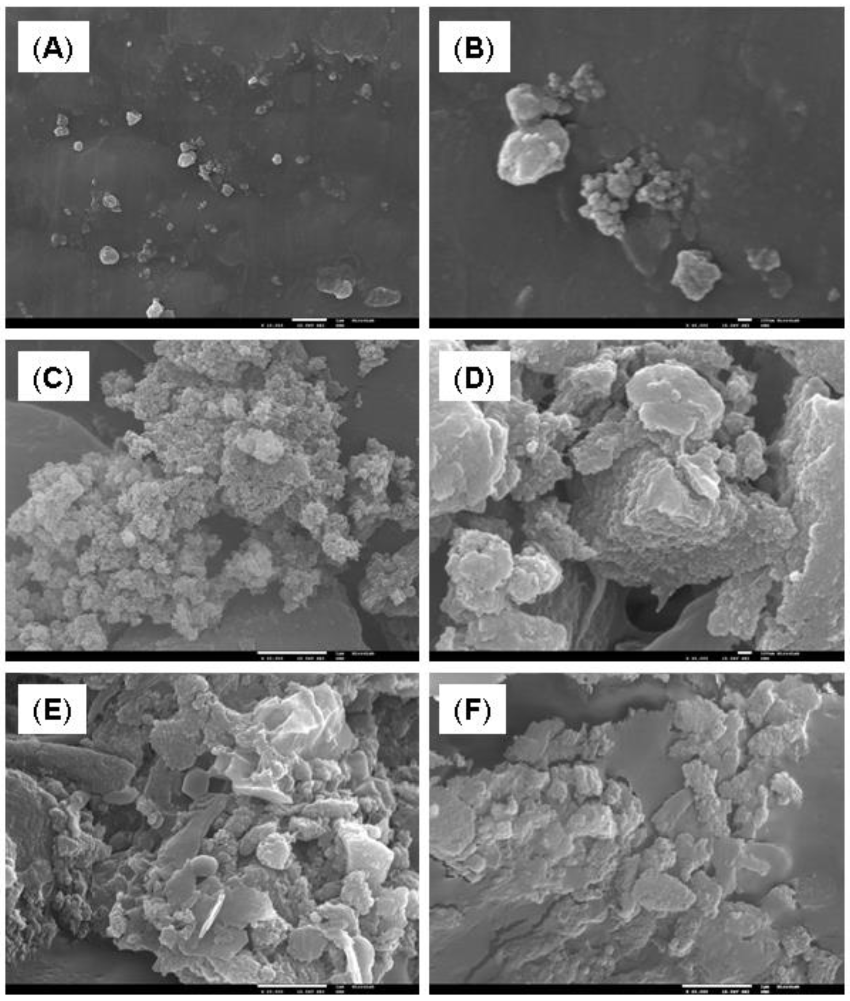 Molecules 25 01744 g001