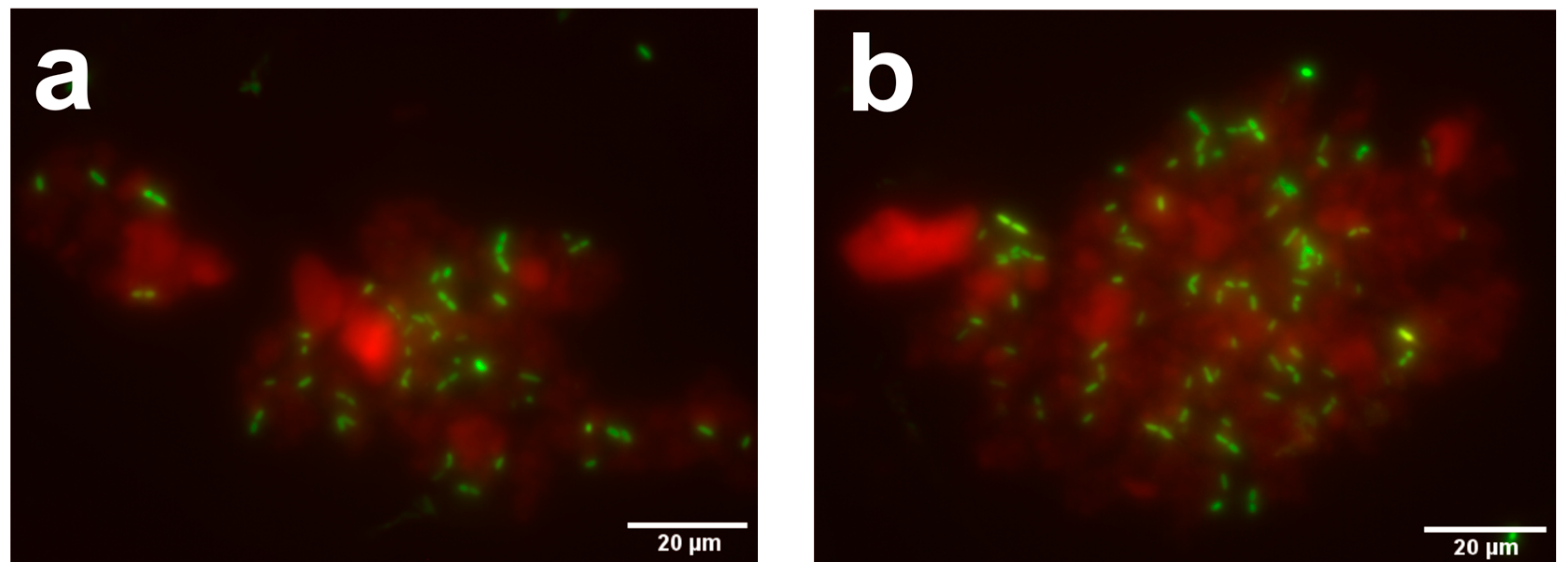 Molecules 25 01747 g009