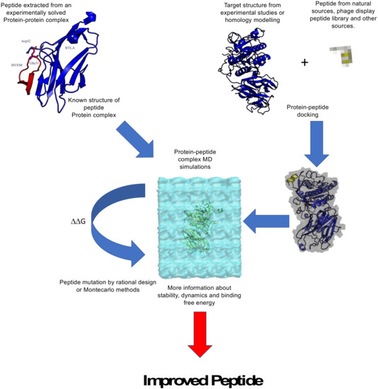 How Computational Chemistry and Drug Delivery Techniques Can 