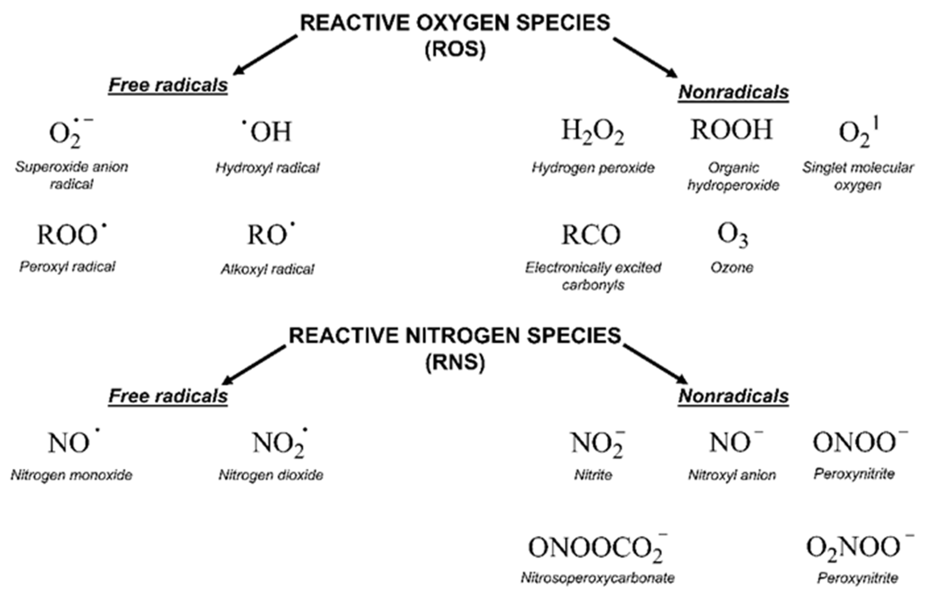 Molecules 25 01757 g001 Molecules 25 01757 g001