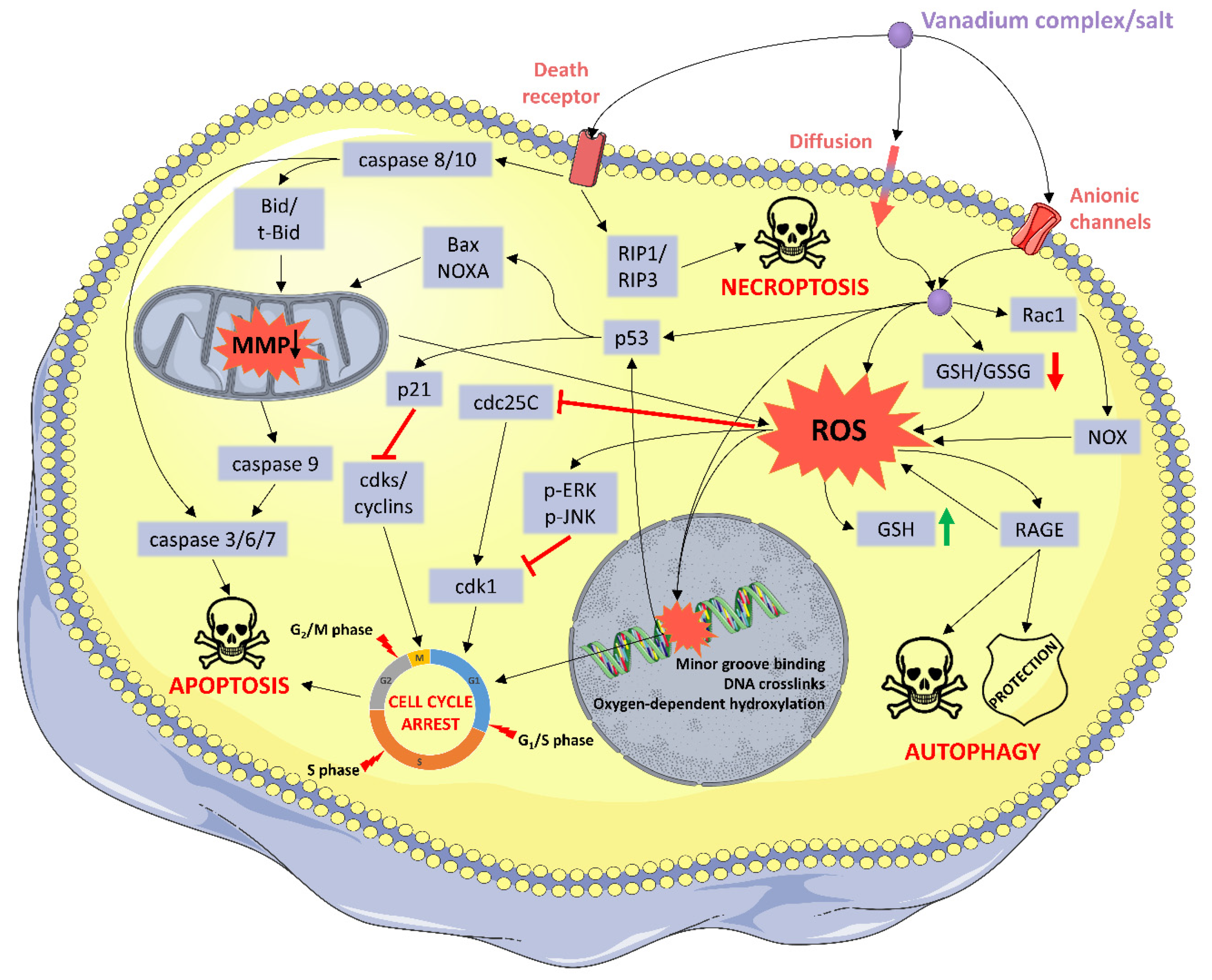 Molecules 25 01757 g002 Molecules 25 01757 g002