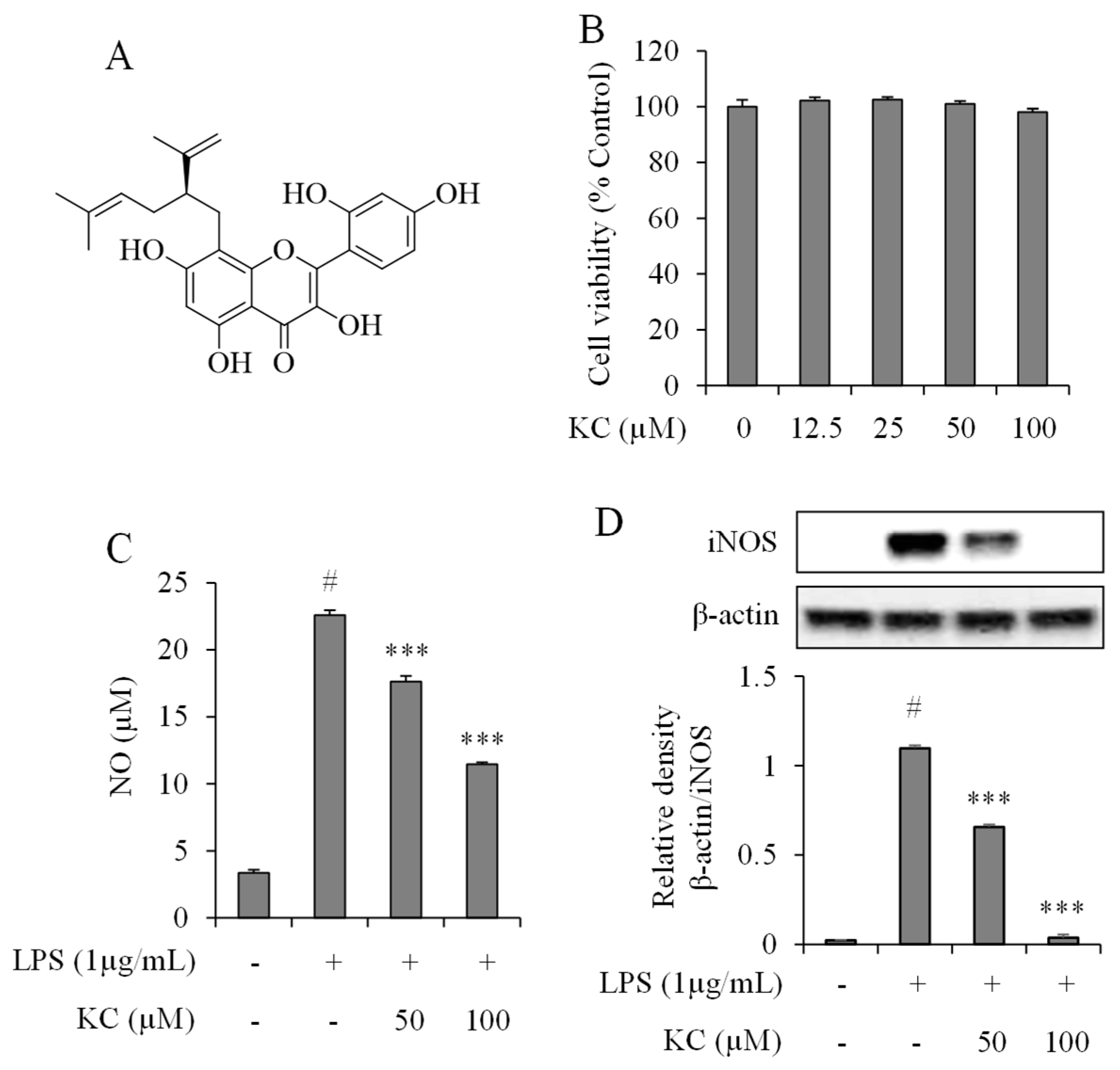 Molecules 25 01768 g001 Molecules 25 01768 g001