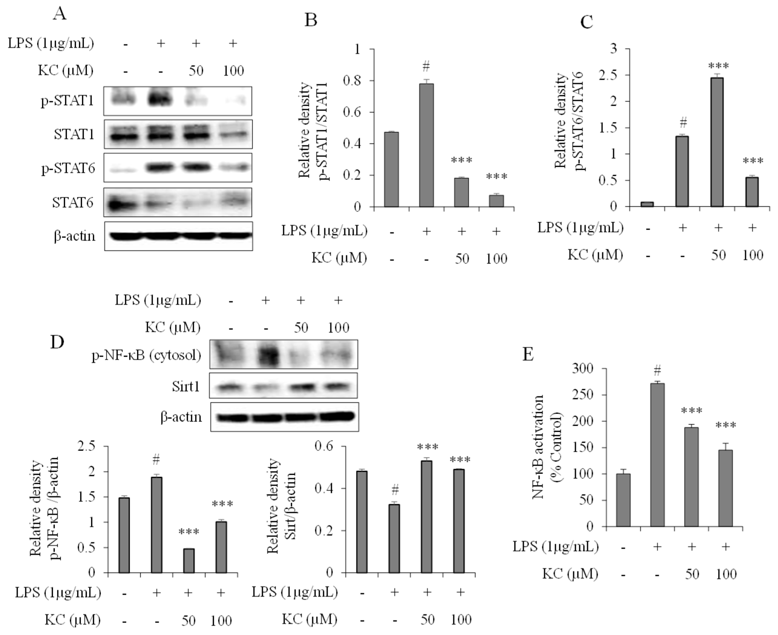 Molecules 25 01768 g003 Molecules 25 01768 g003