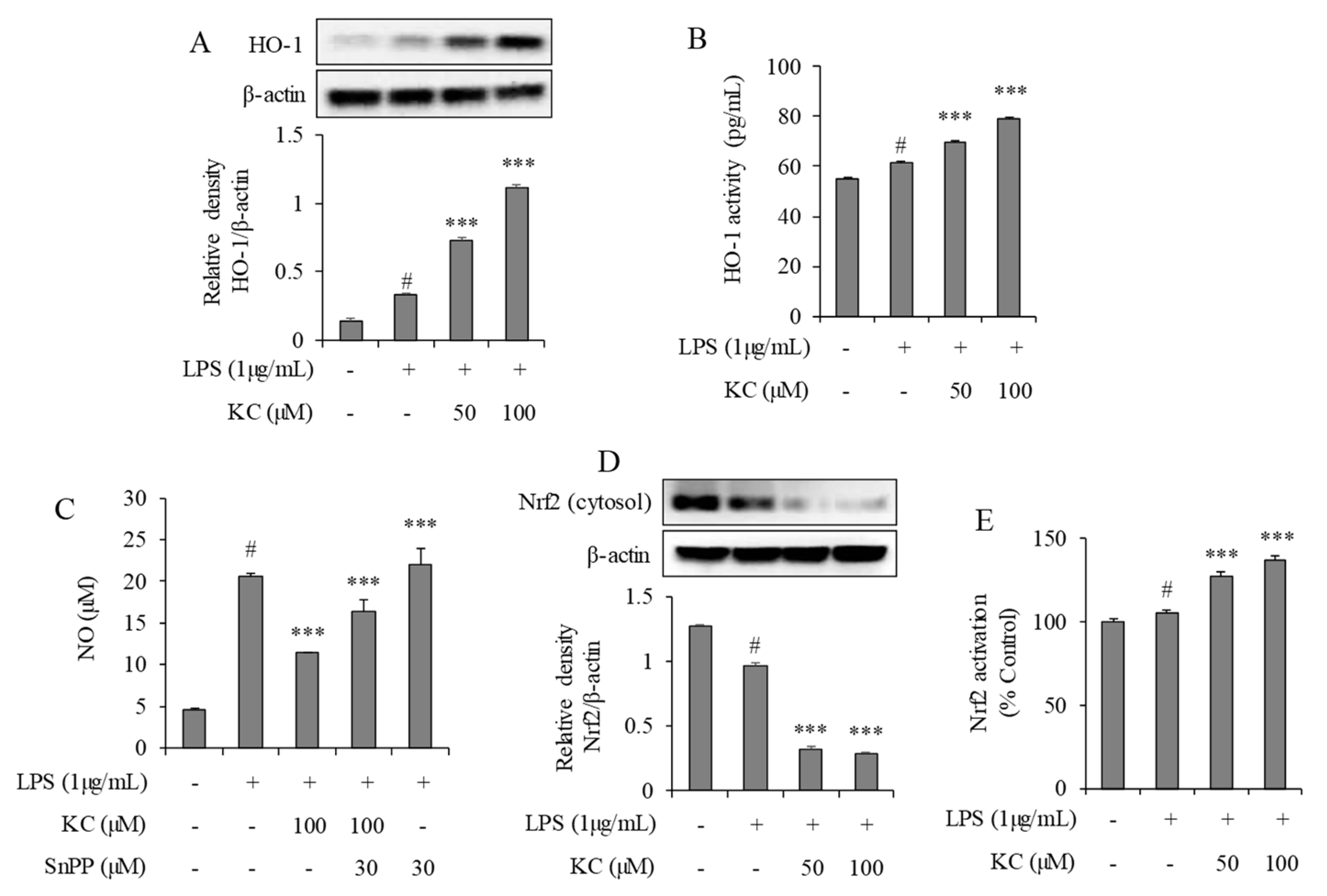 Molecules 25 01768 g004 Molecules 25 01768 g004