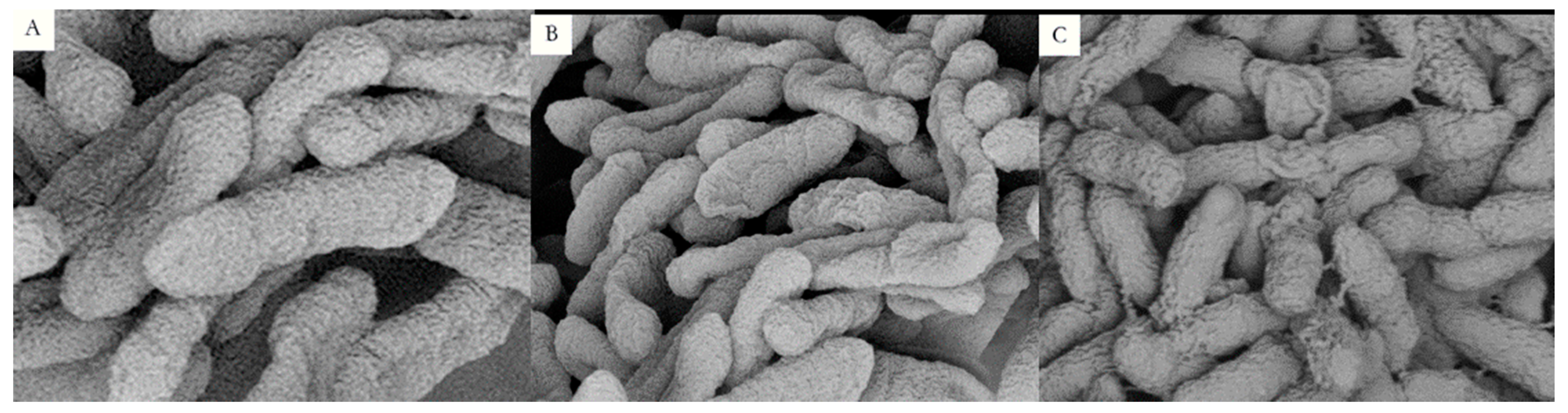 Molecules 25 01772 g001