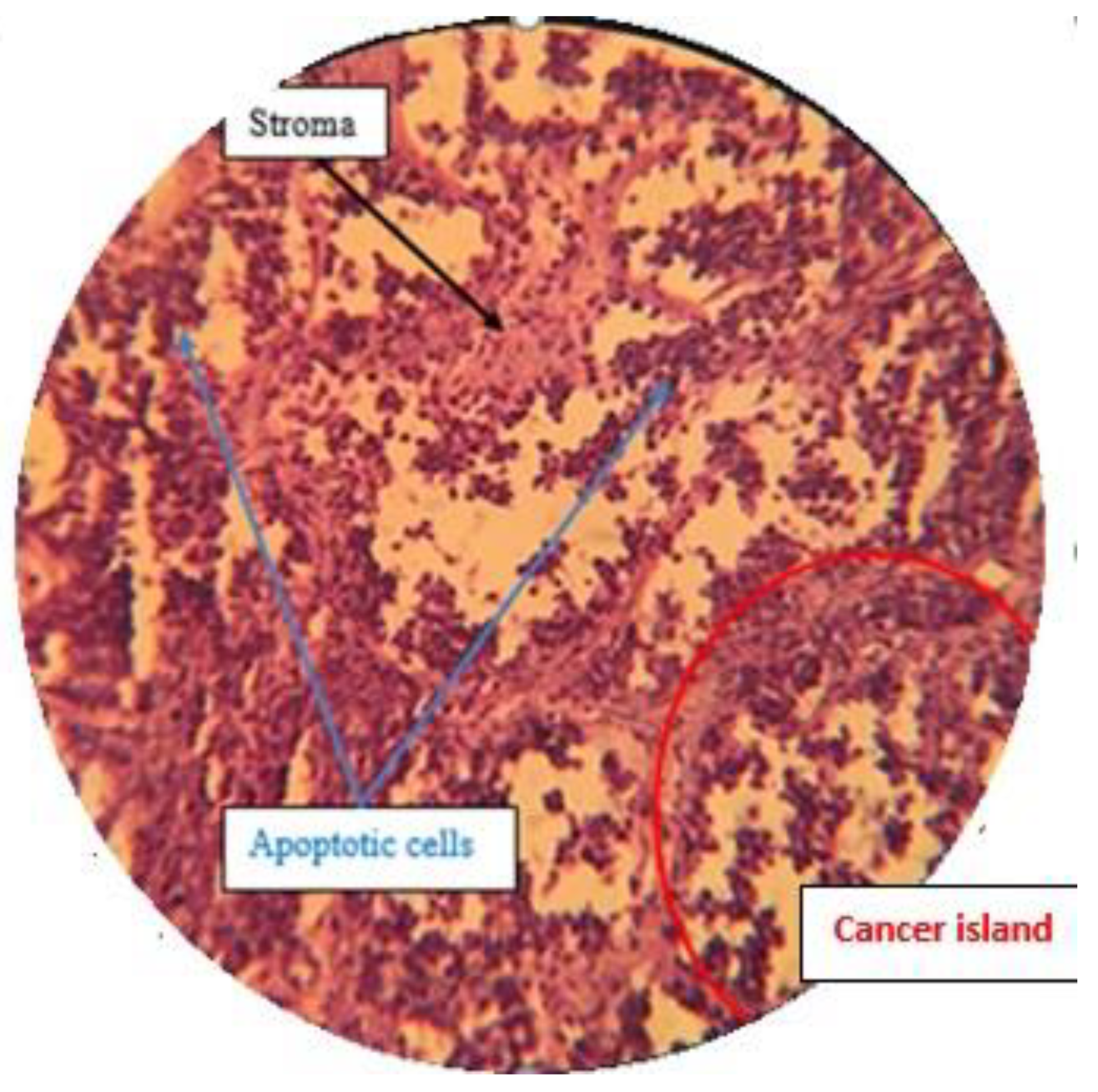 Molecules 25 01776 g017