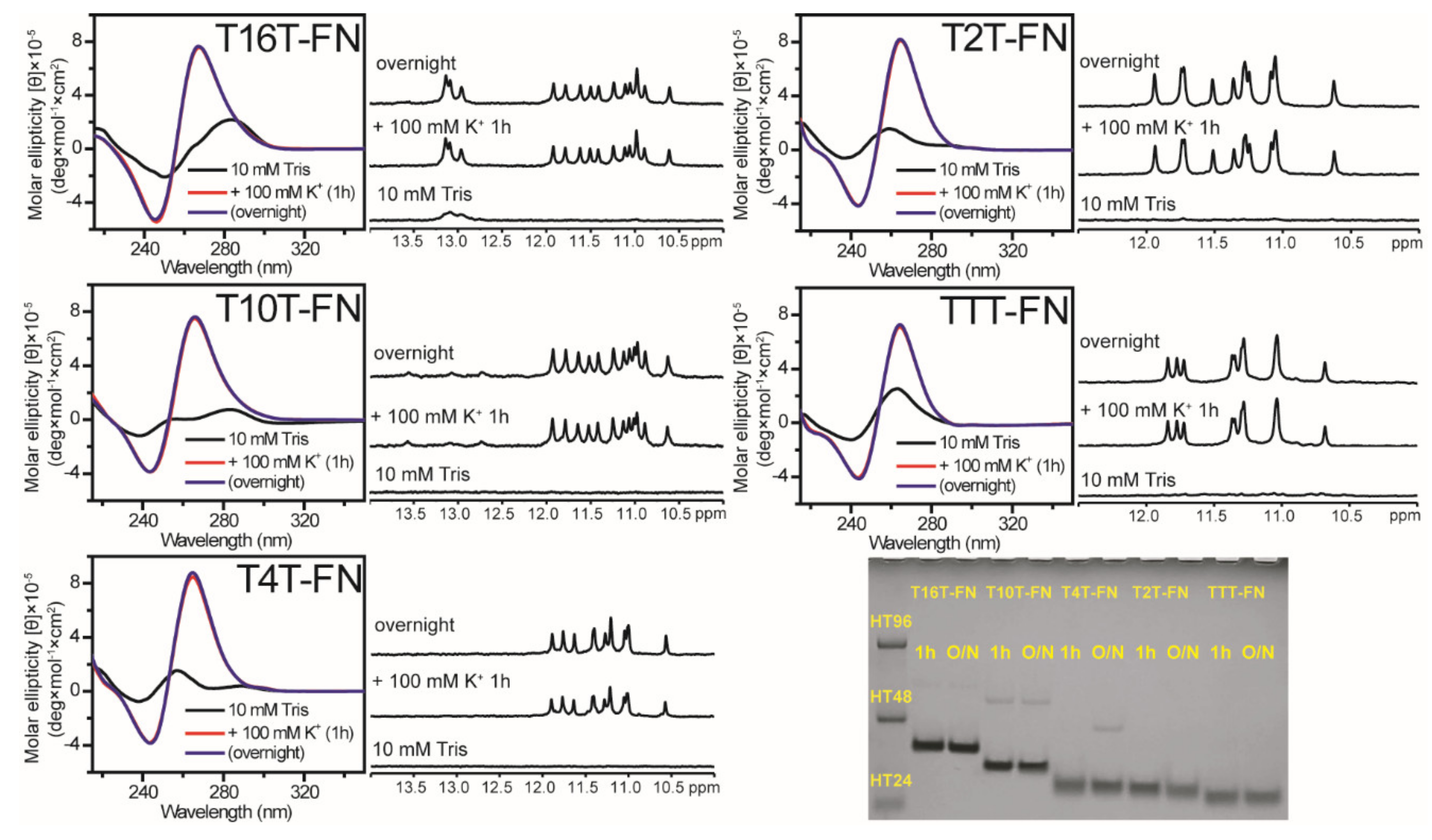 Molecules 25 01779 g004