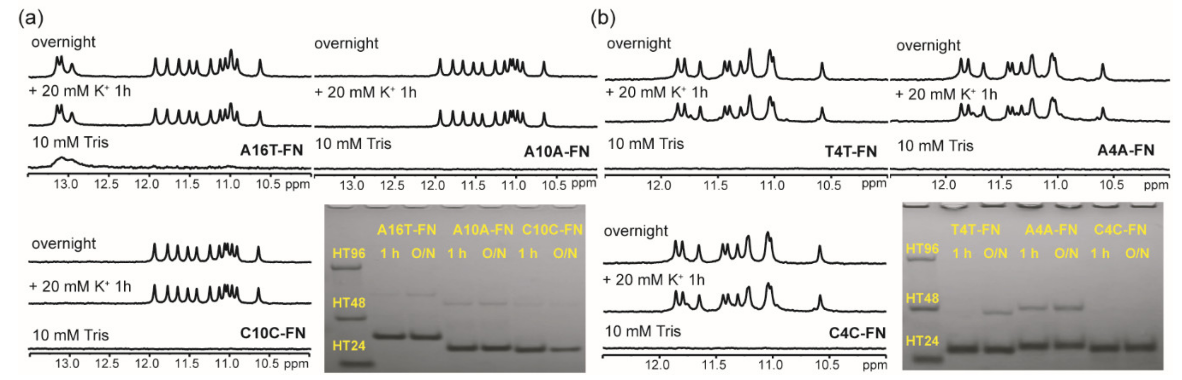 Molecules 25 01779 g005