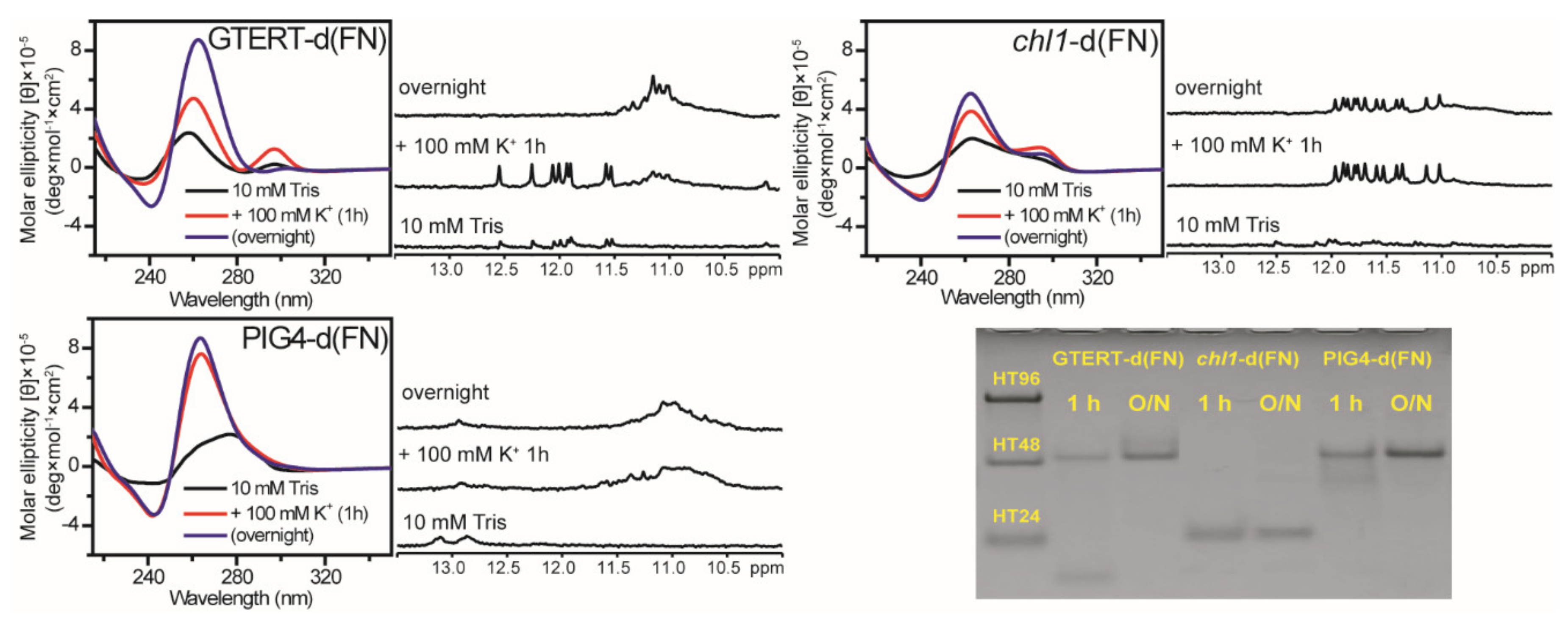 Molecules 25 01779 g006
