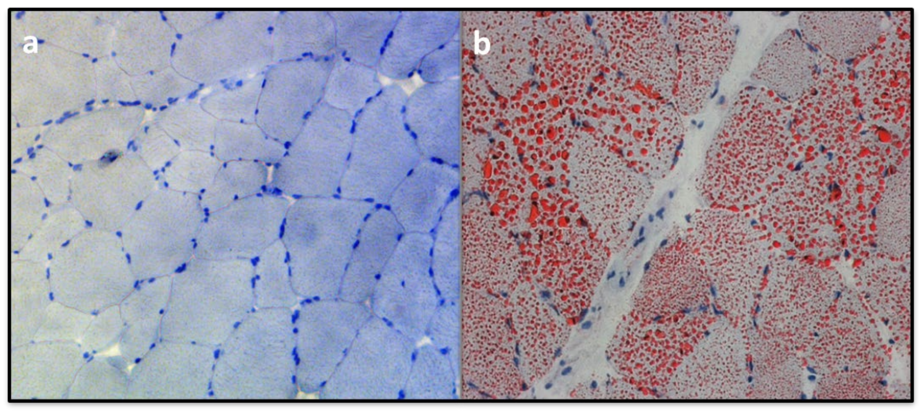 Molecules 25 01784 g002 Molecules 25 01784 g002