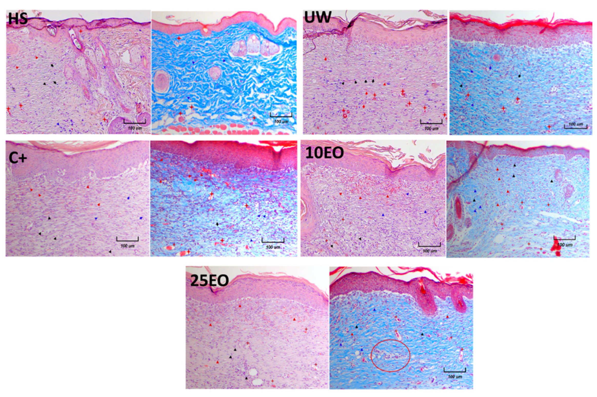 Molecules 25 01795 g007 Molecules 25 01795 g007