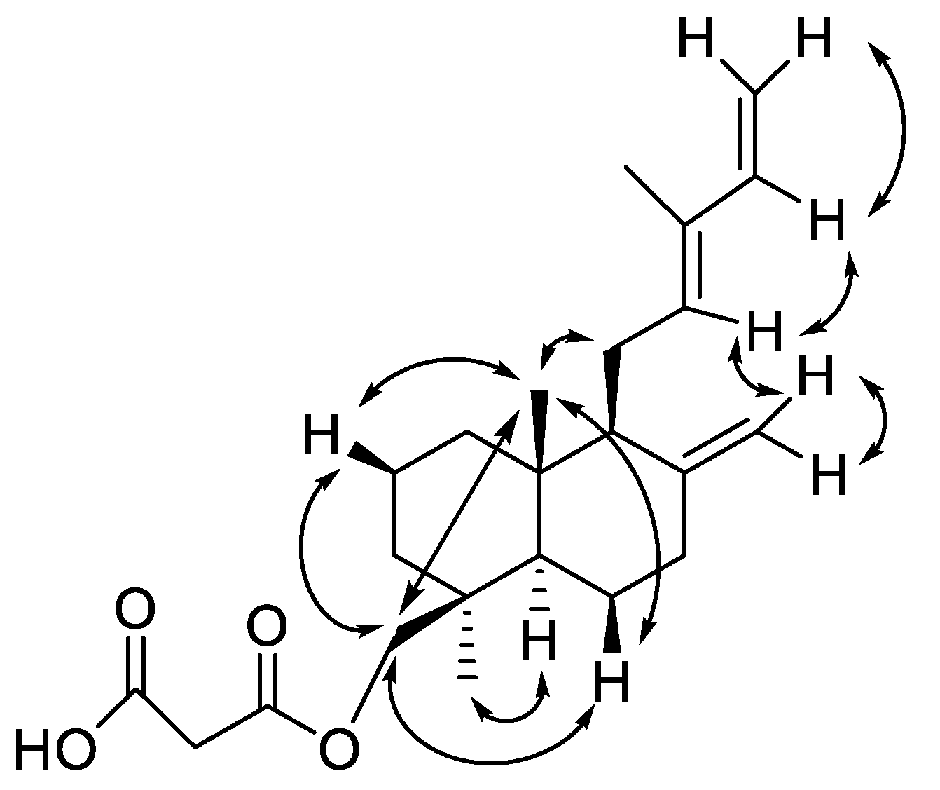 Molecules 25 01808 g002 Molecules 25 01808 g002