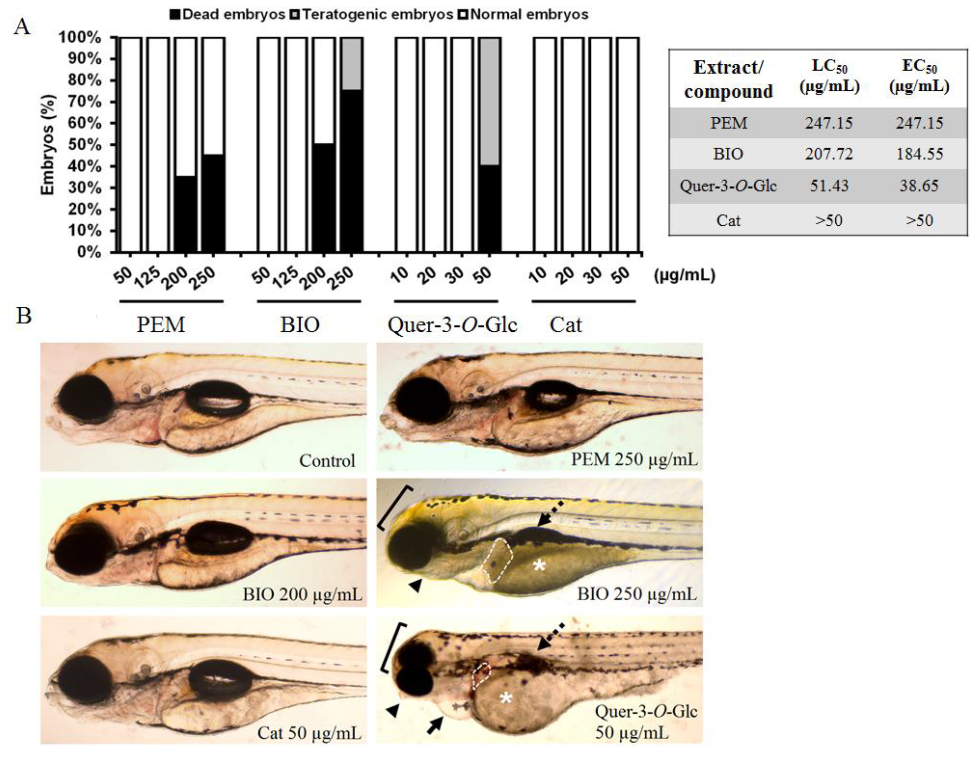 Molecules 25 01811 g004