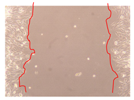 Molecules 25 01828 i002 Molecules 25 01828 i002