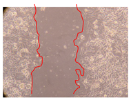 Molecules 25 01828 i005 Molecules 25 01828 i005