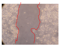 Molecules 25 01828 i013 Molecules 25 01828 i013