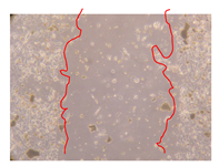 Molecules 25 01828 i018 Molecules 25 01828 i018