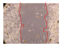 Molecules 25 01828 i019 Molecules 25 01828 i019