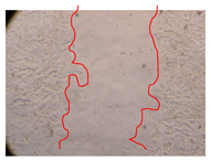 Molecules 25 01828 i021 Molecules 25 01828 i021