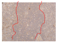 Molecules 25 01828 i022 Molecules 25 01828 i022