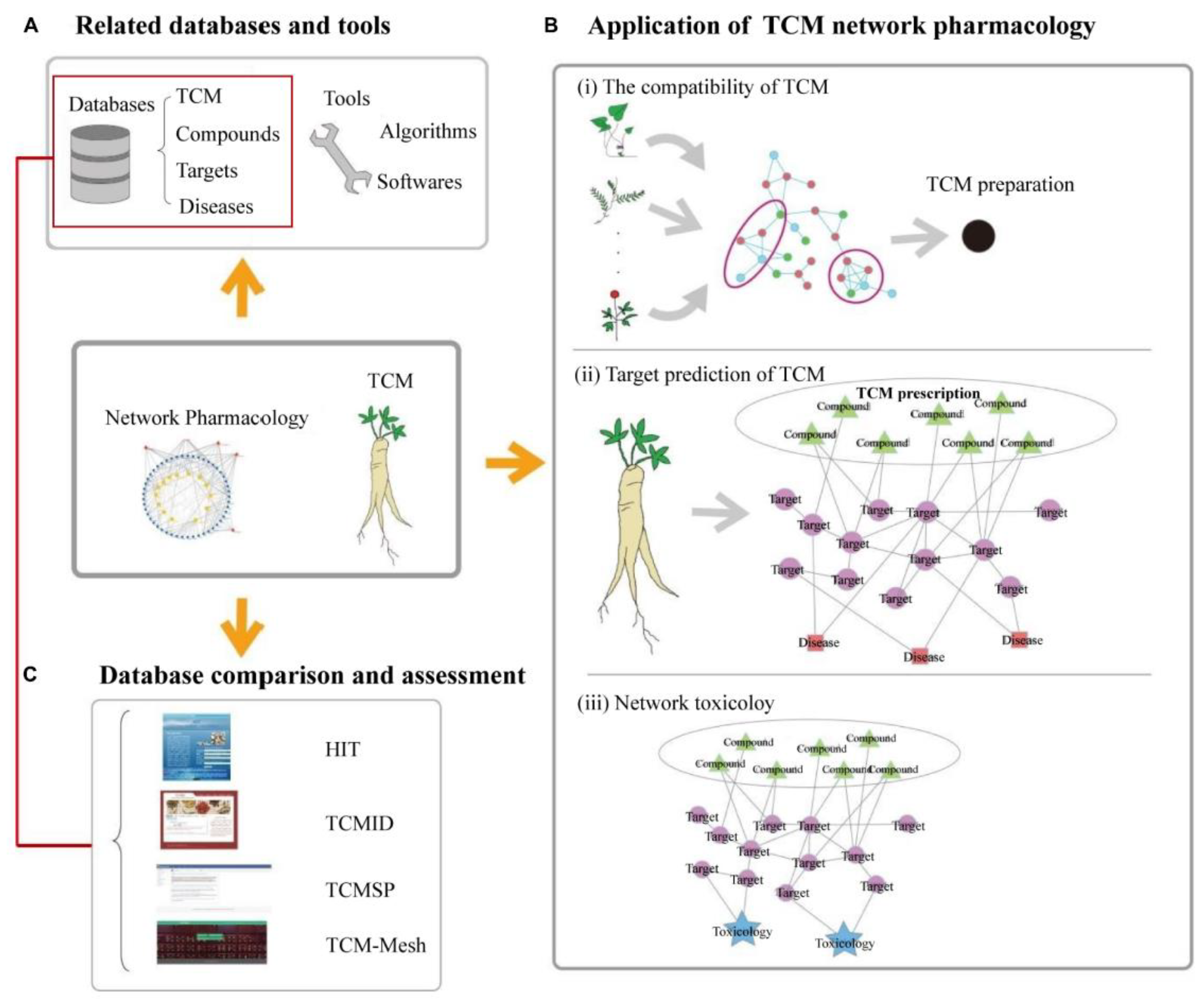 Molecules 25 01833 g001