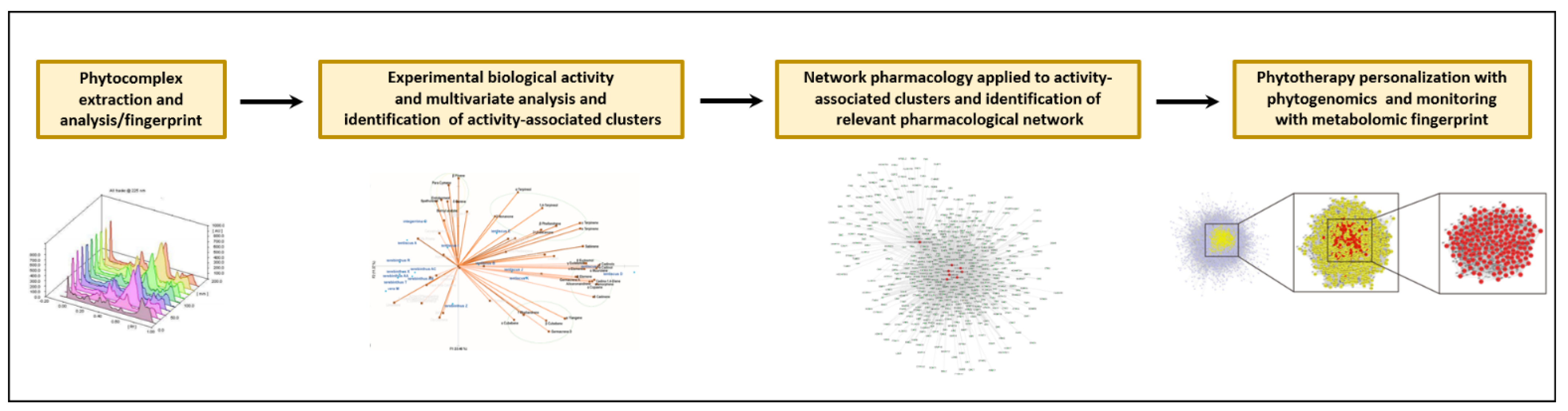 Molecules 25 01833 g003