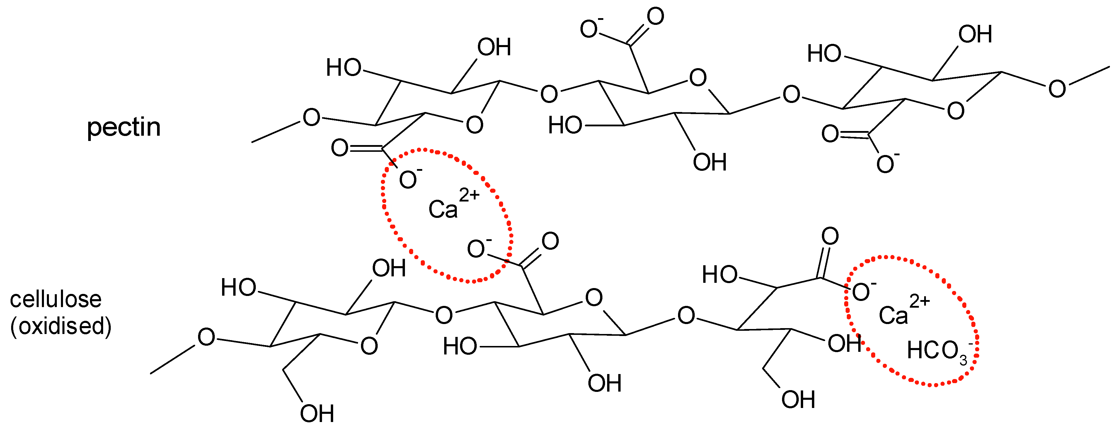 Molecules 25 01840 g014 Molecules 25 01840 g014