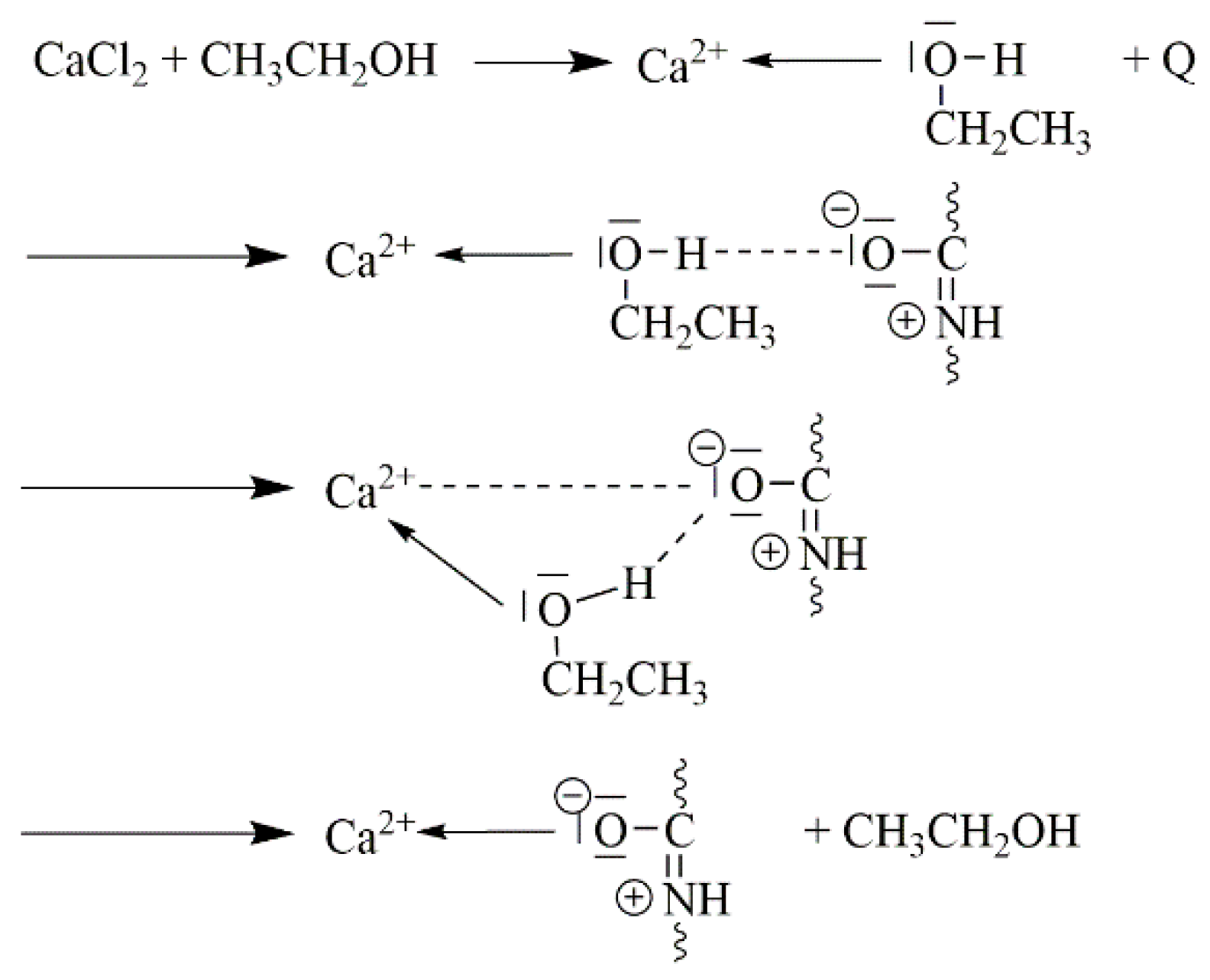 Molecules 25 01840 g019 Molecules 25 01840 g019