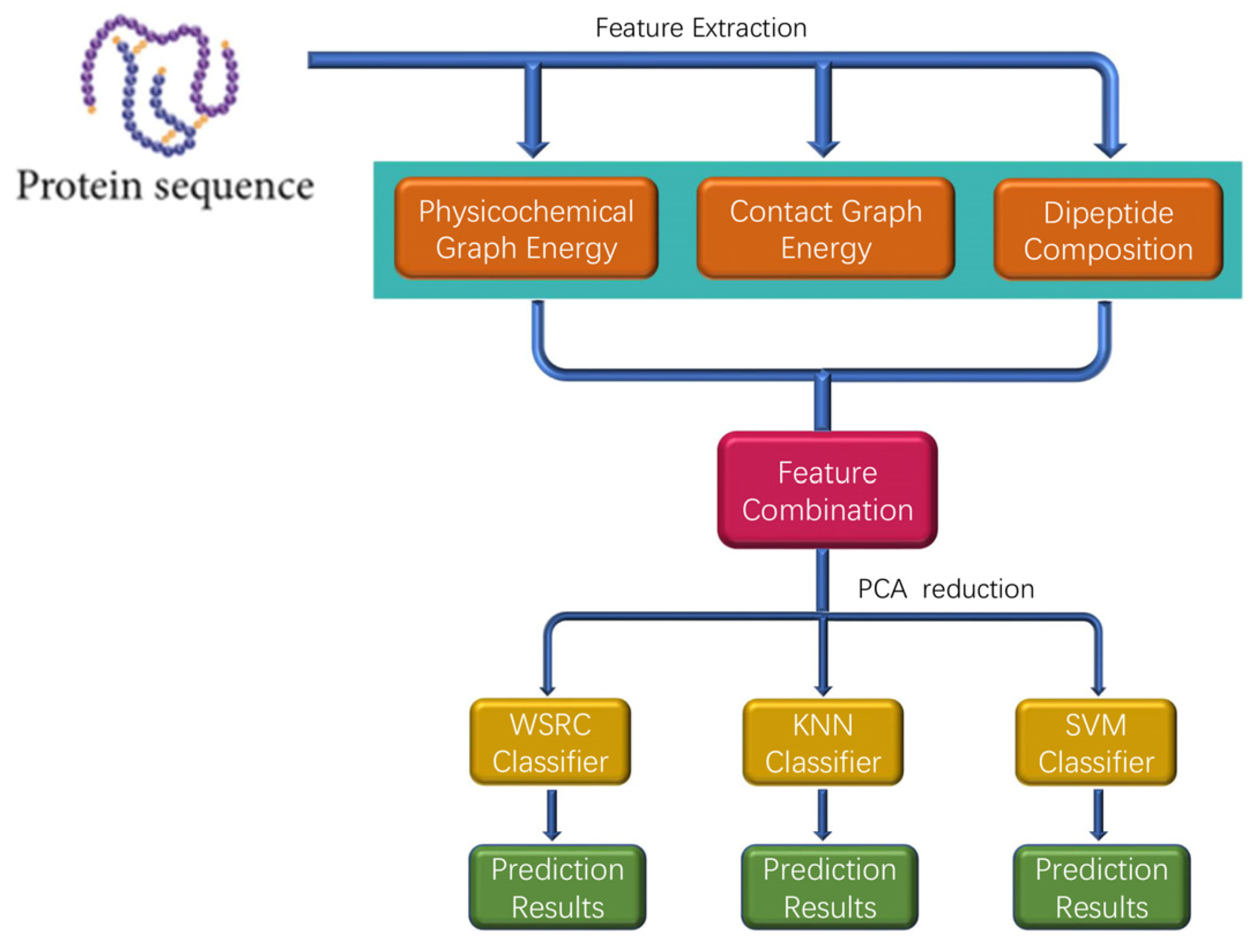 Molecules Free FullText ProteinProtein Interactions Prediction