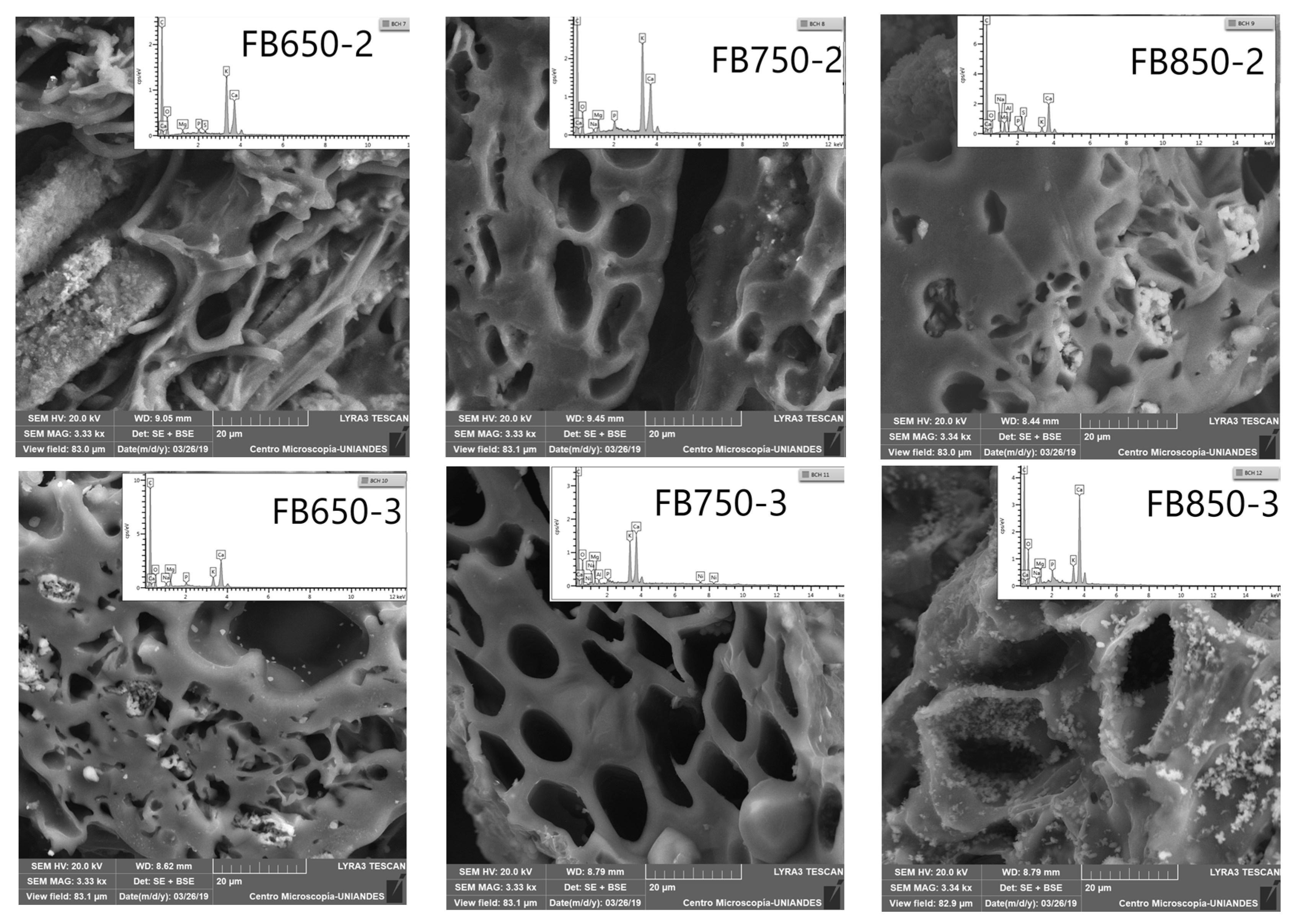 Molecules 25 01849 g001 Molecules 25 01849 g001