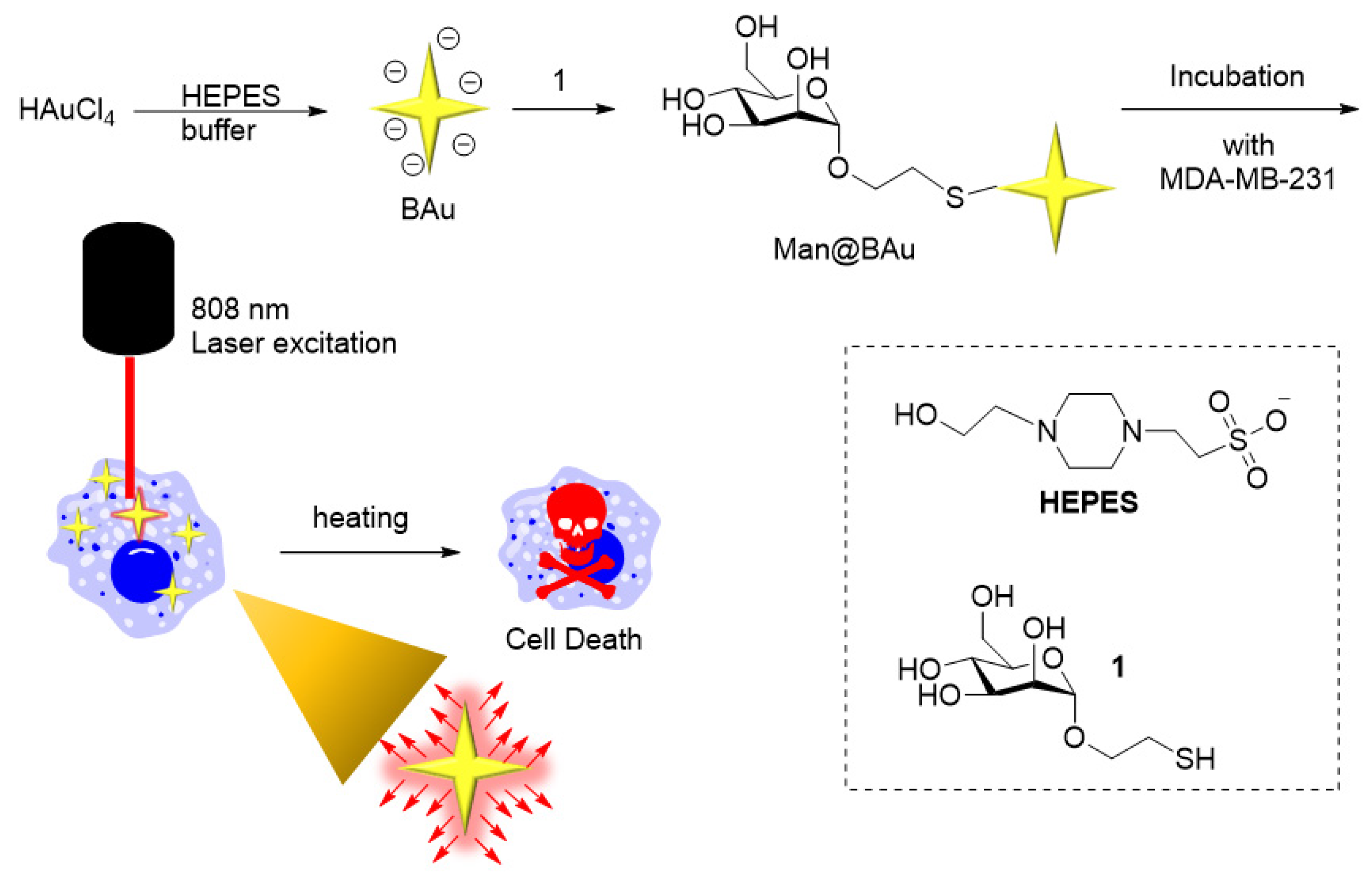 Molecules 25 01853 g001 Molecules 25 01853 g001