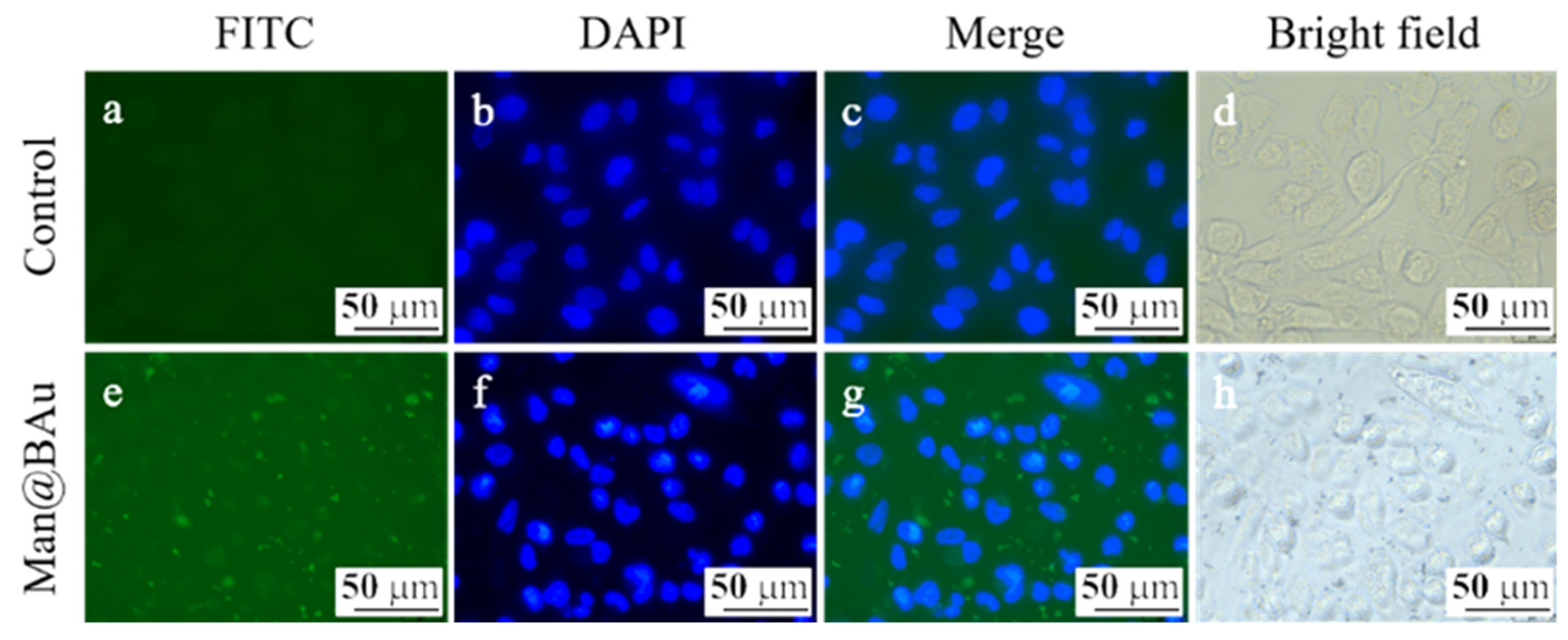 Molecules 25 01853 g005 Molecules 25 01853 g005