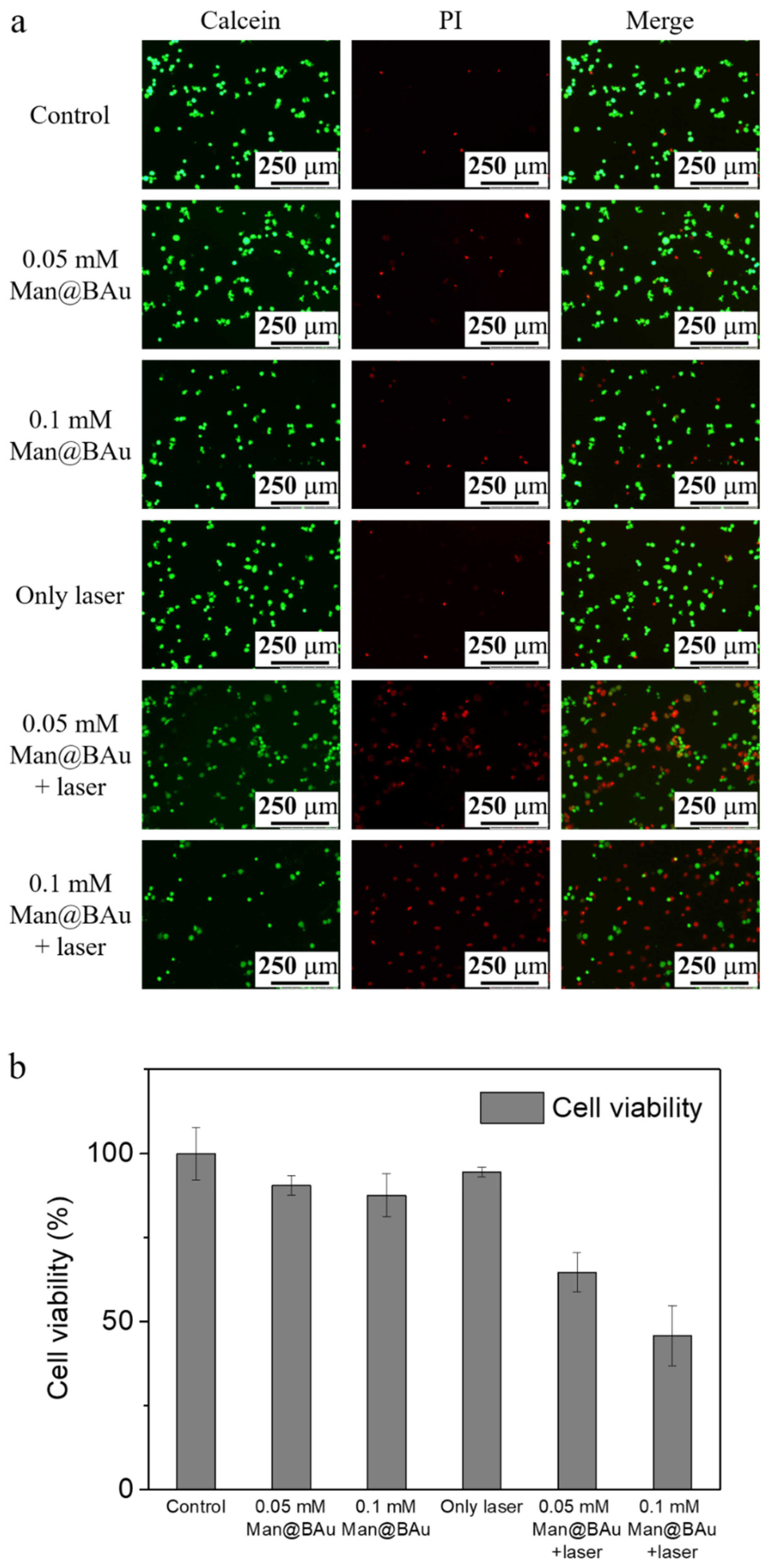 Molecules 25 01853 g007 Molecules 25 01853 g007