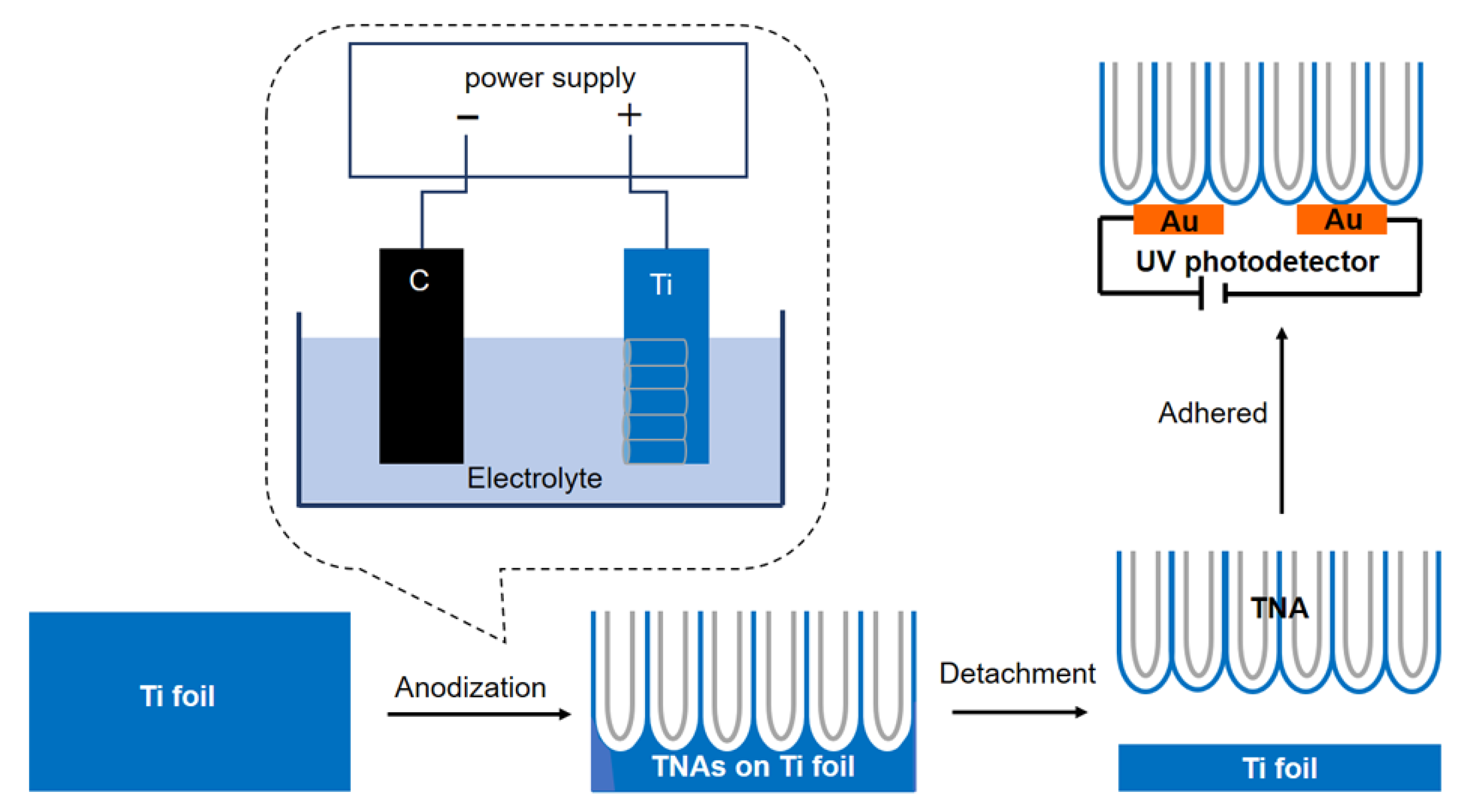 Molecules 25 01854 g001