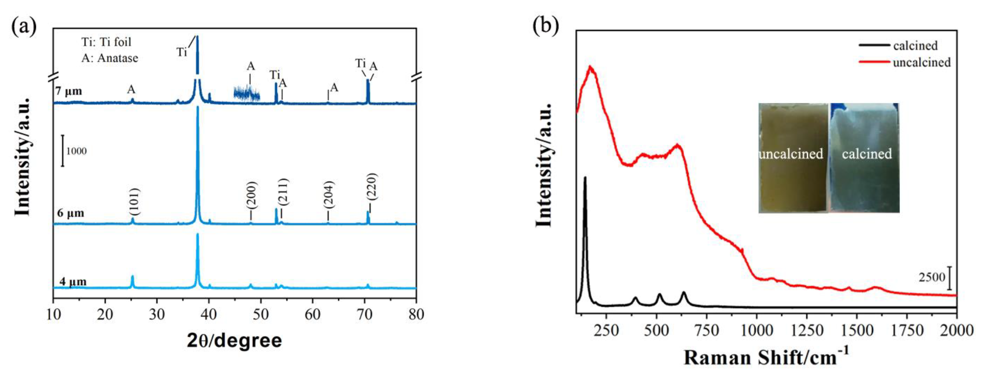 Molecules 25 01854 g003