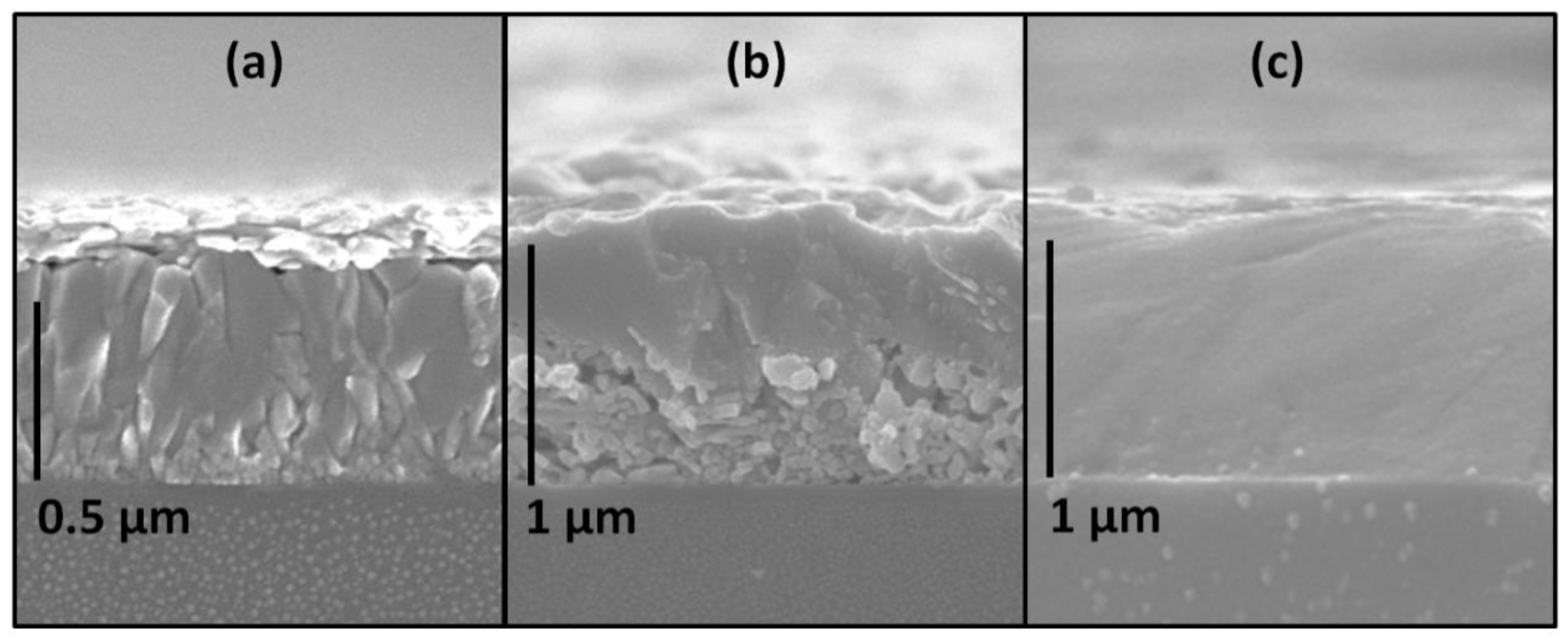 Molecules 25 01856 g003