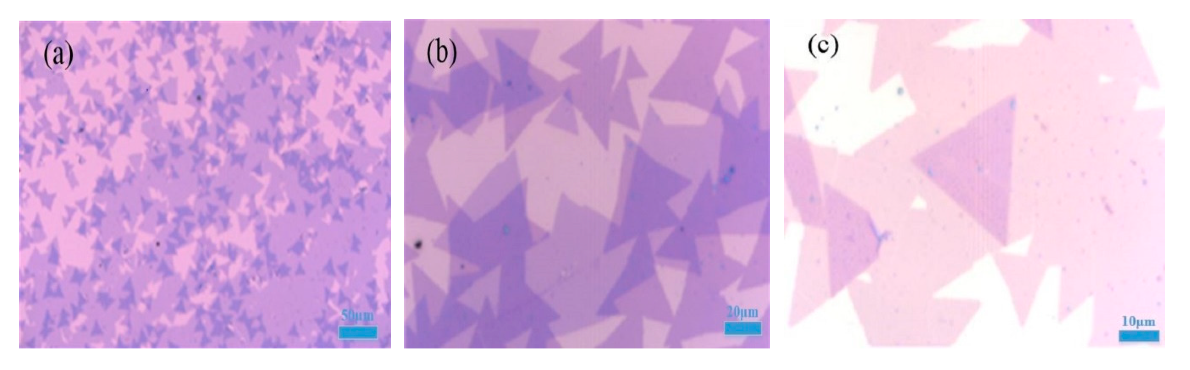 Molecules 25 01857 g002