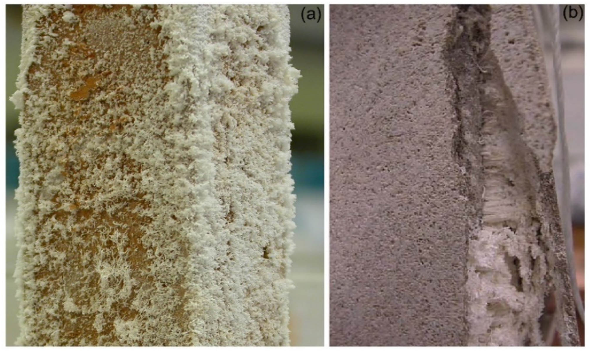 Molecules Free Full Text Molecular Crystallization Inhibitors For Salt Damage Control In Porous Materials An Overview Html