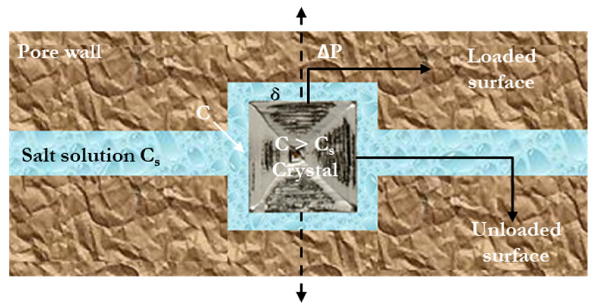 Molecules 25 01873 g002