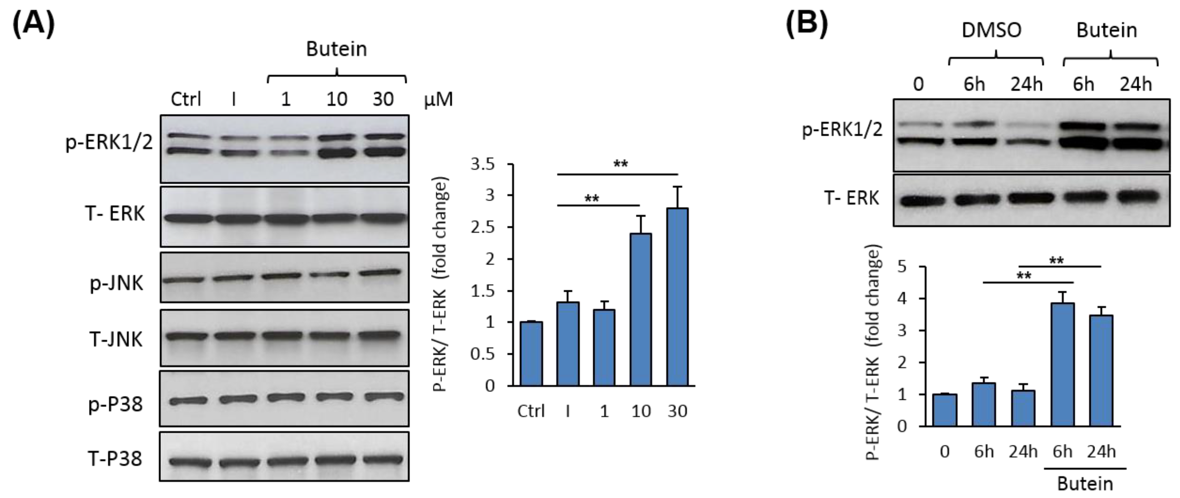 Molecules 25 01885 g004
