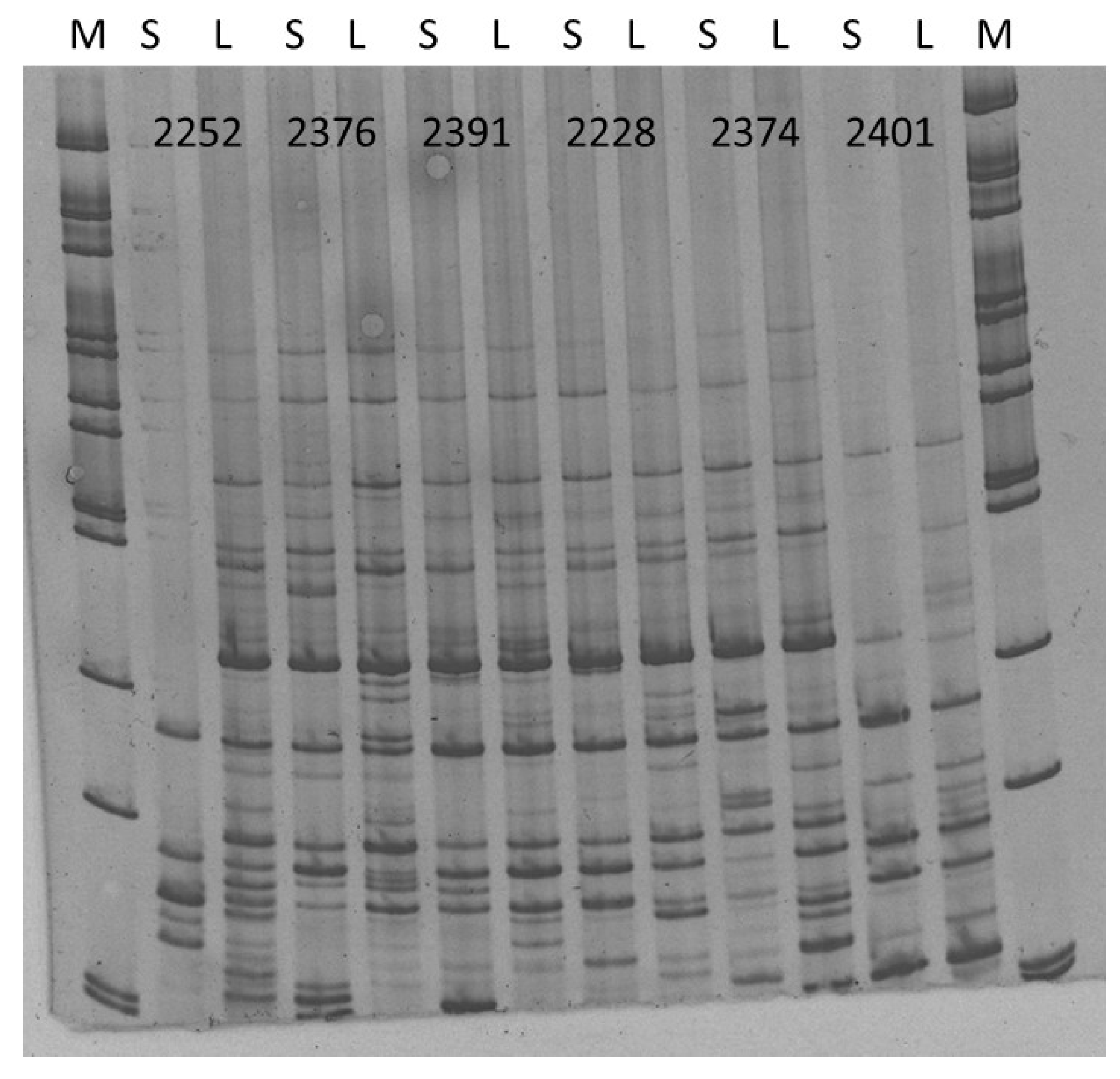 Molecules 25 01888 g007