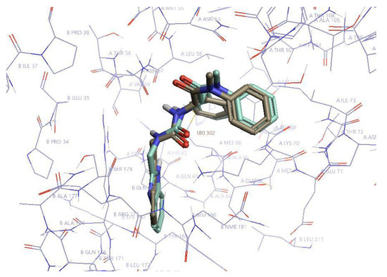 PF74 and Its Novel Derivatives Stabilize Hexameric Lattice