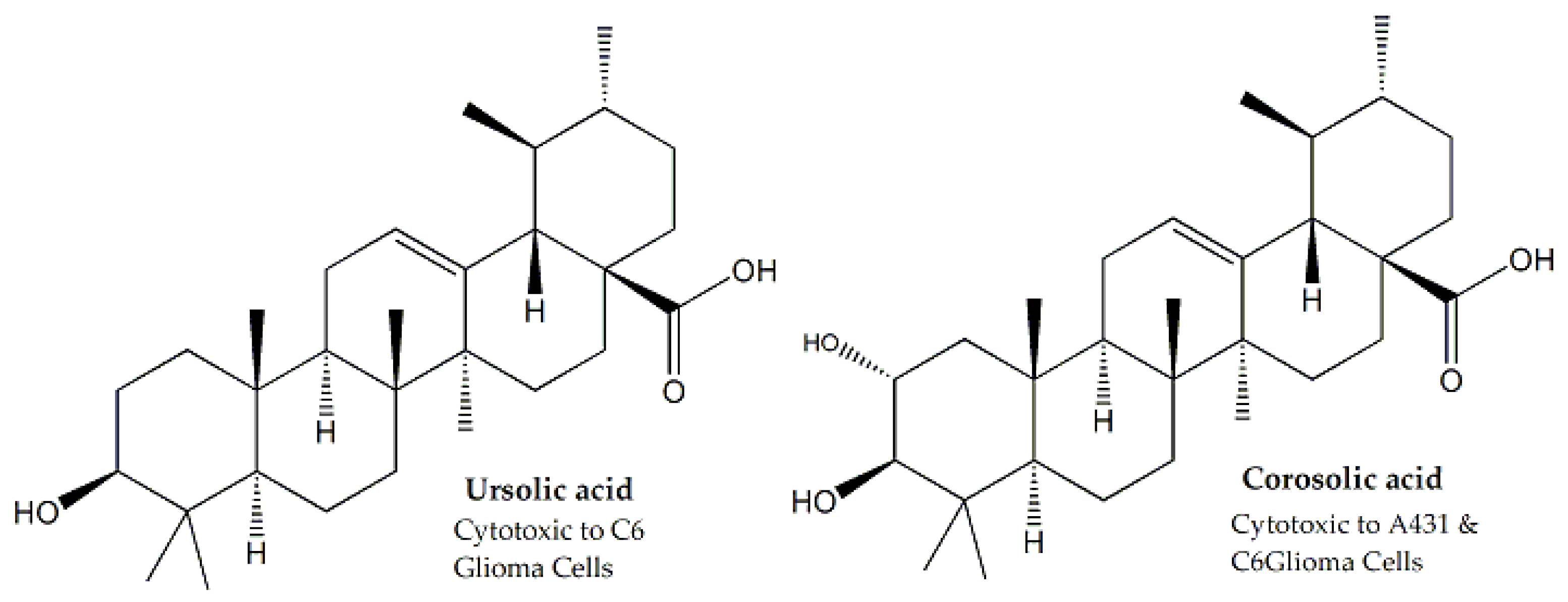 Molecules 25 01904 g001 Molecules 25 01904 g001