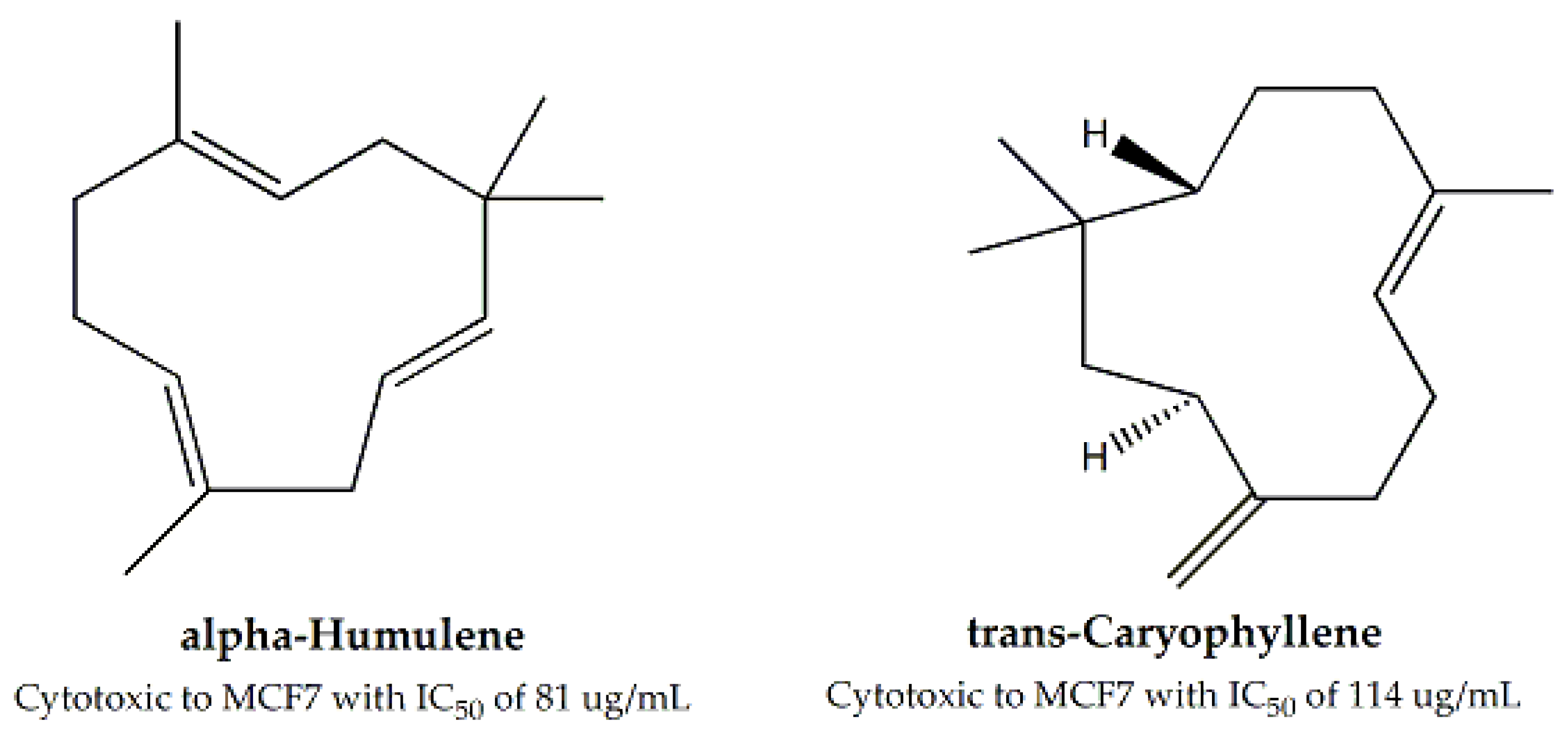 Molecules 25 01904 g007 Molecules 25 01904 g007