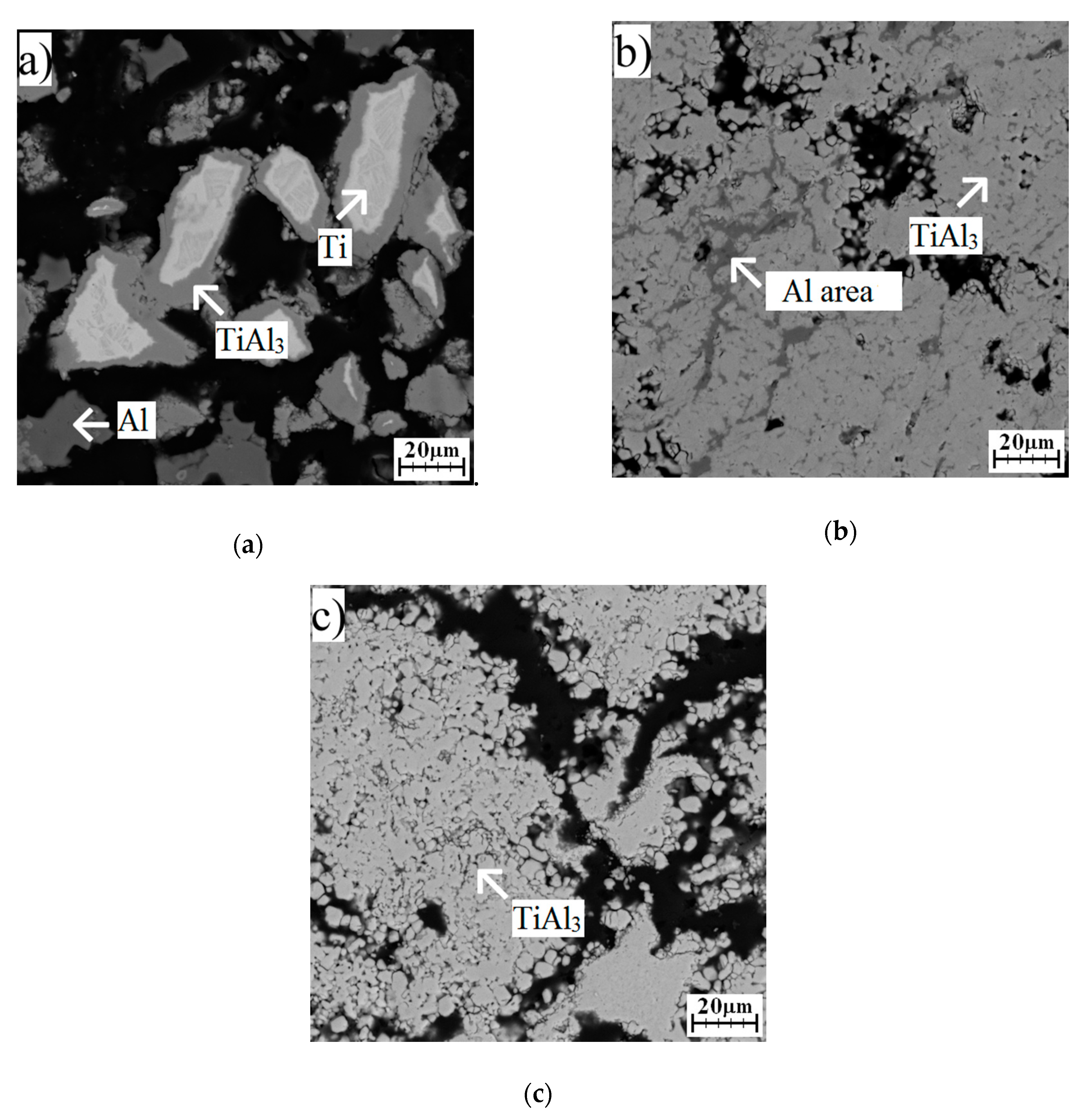 Molecules 25 01912 g008