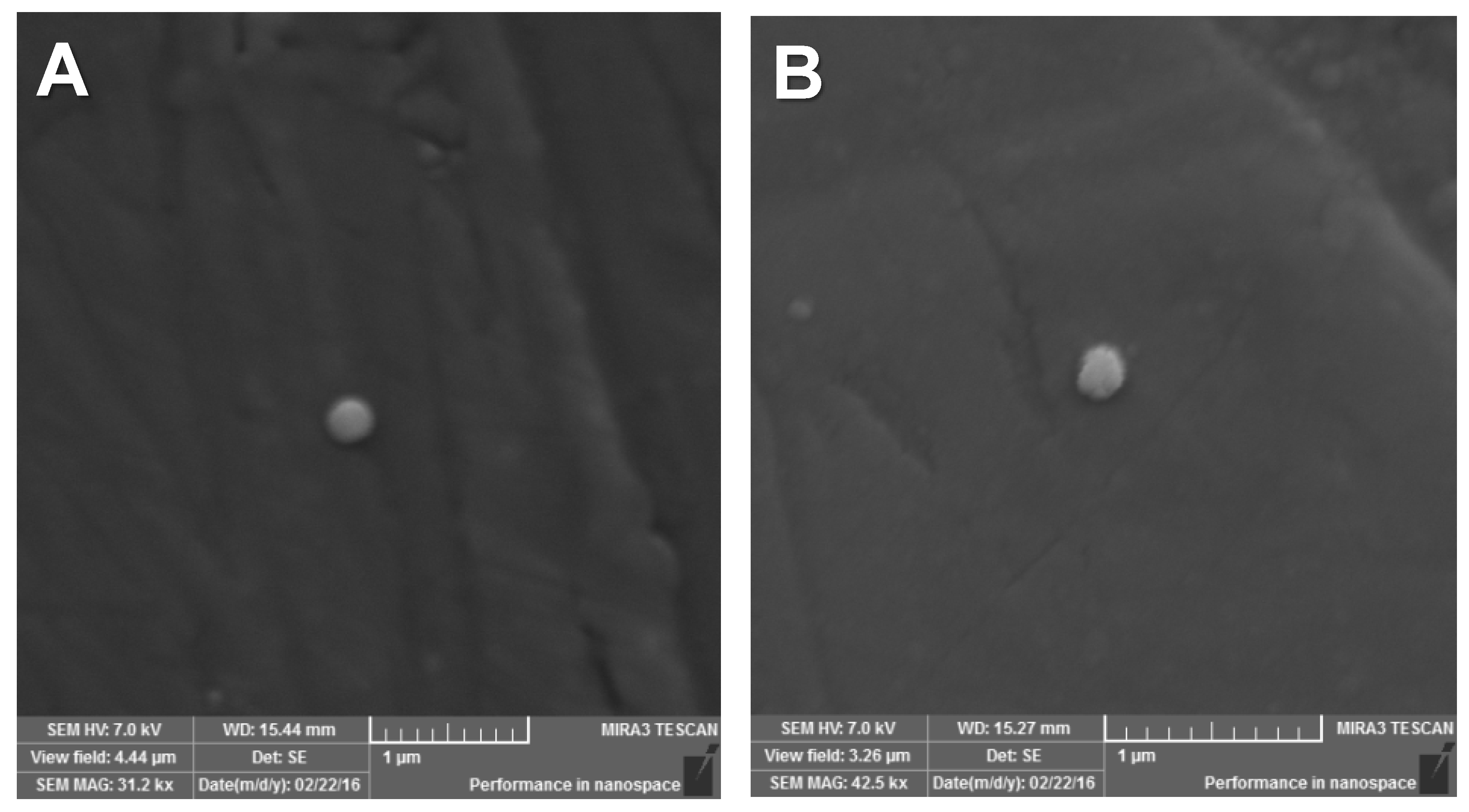 Molecules 25 01913 g001