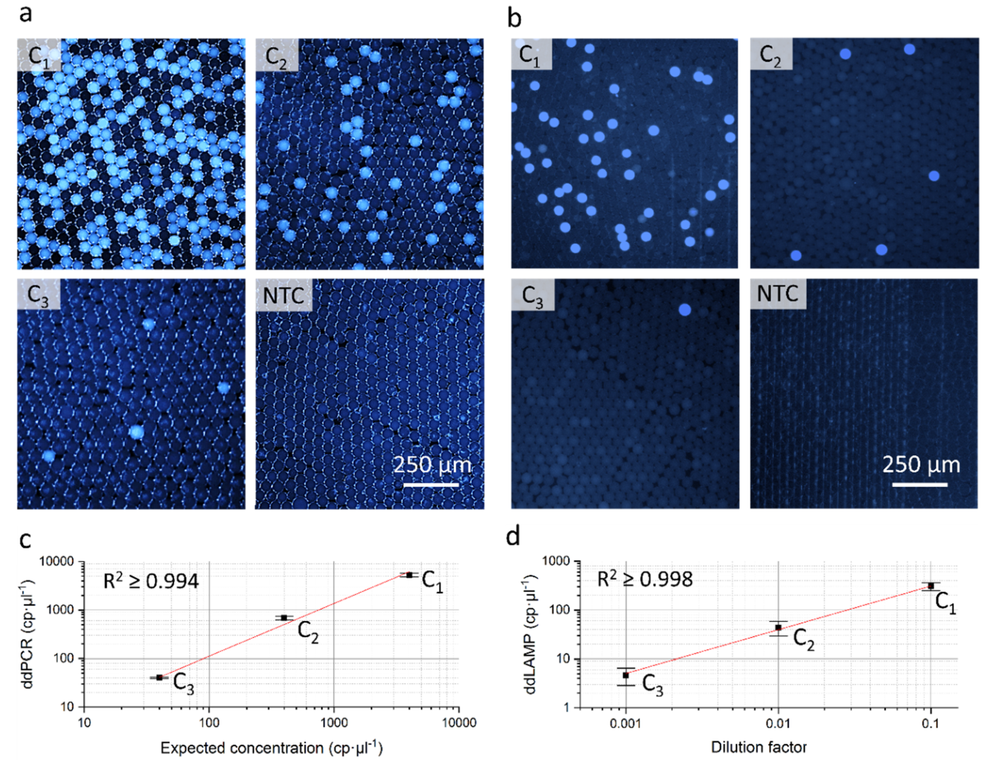 Molecules 25 01914 g003 Molecules 25 01914 g003