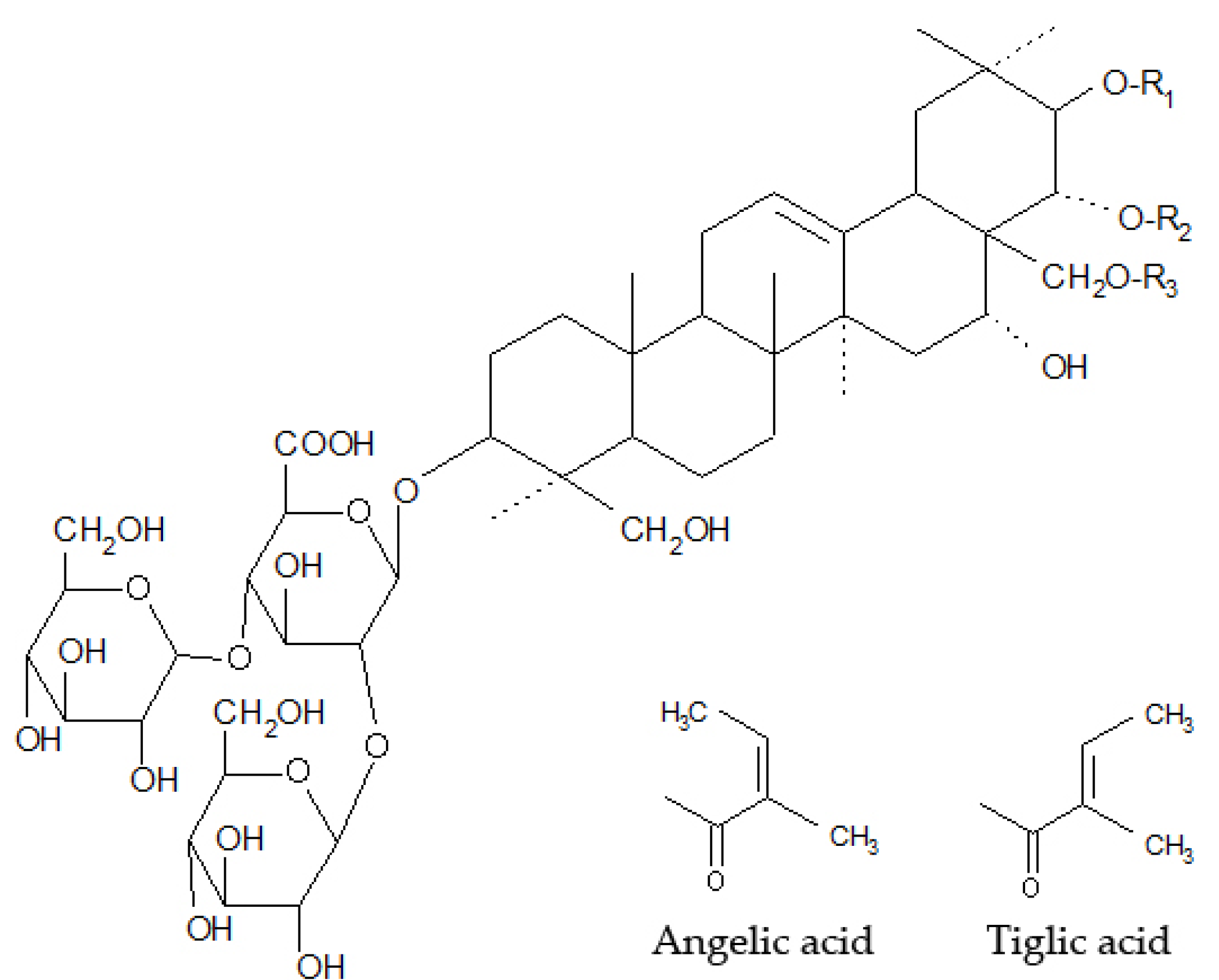 Molecules 25 01917 g002 Molecules 25 01917 g002