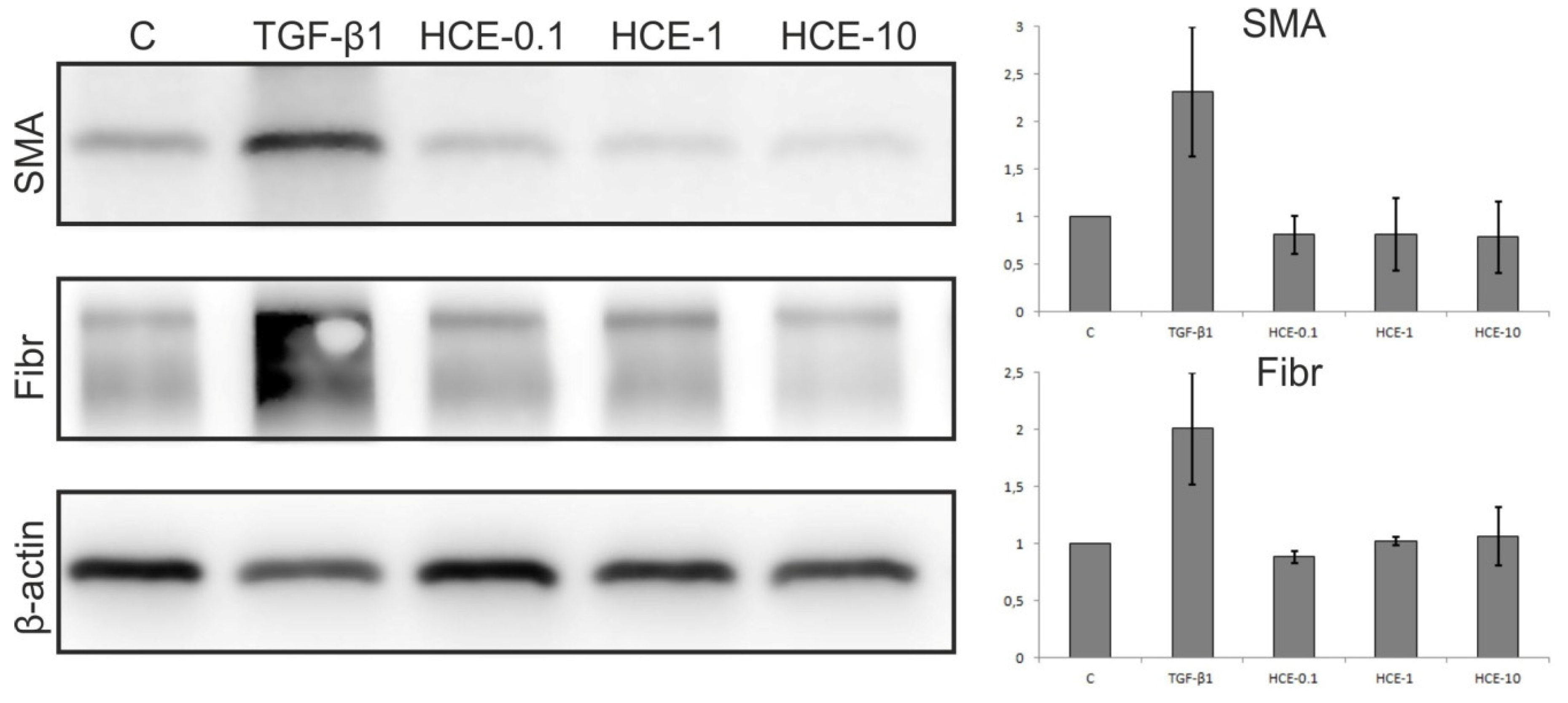 Molecules 25 01917 g004 Molecules 25 01917 g004