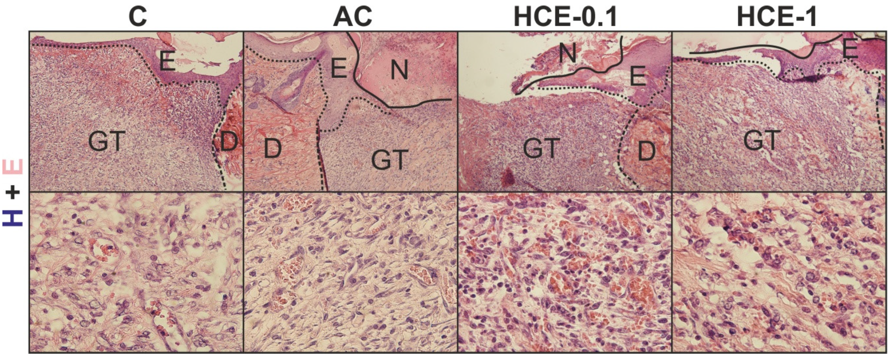 Molecules 25 01917 g007 Molecules 25 01917 g007